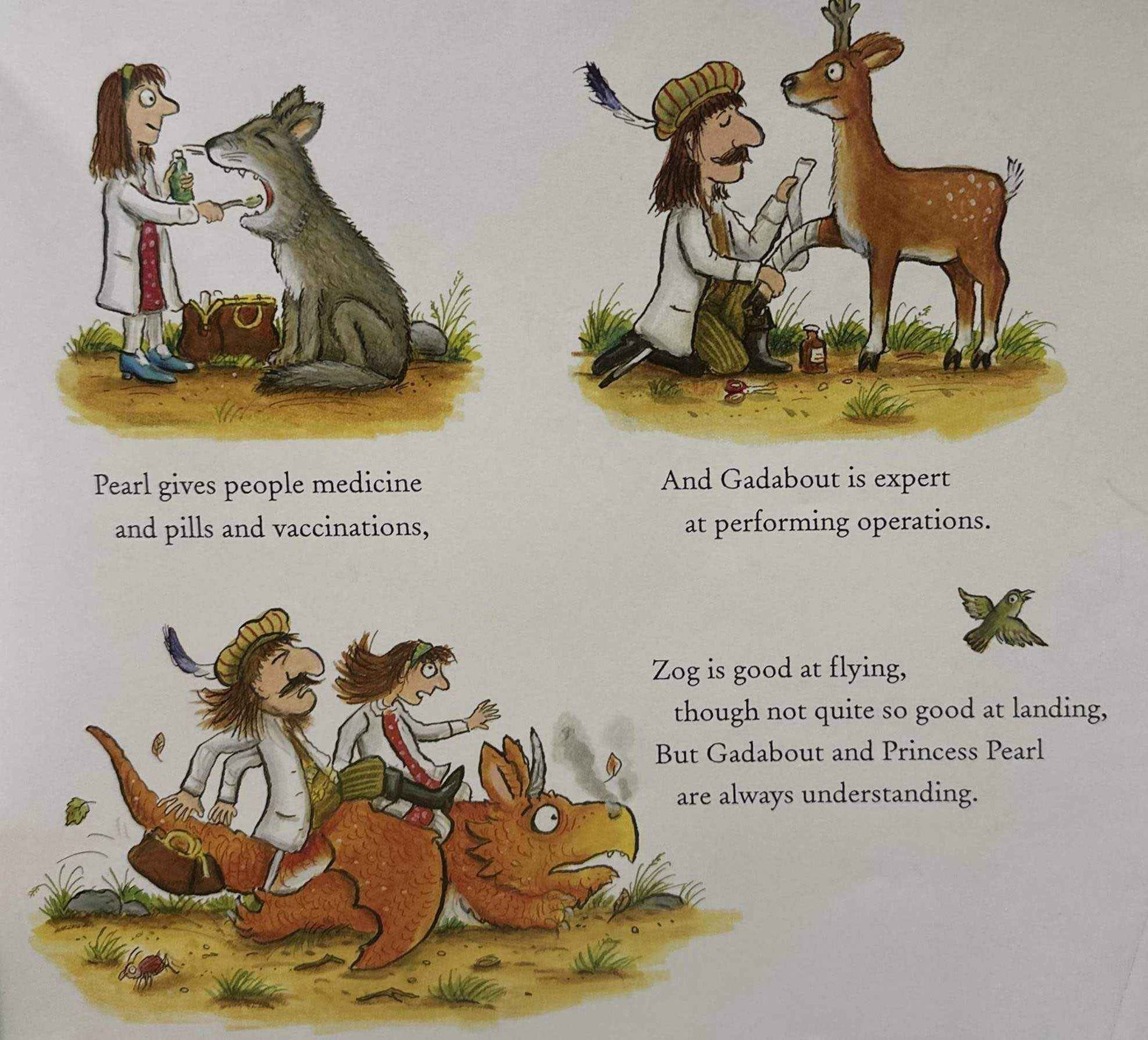 Zog and the Flying Doctors (Paperback)
