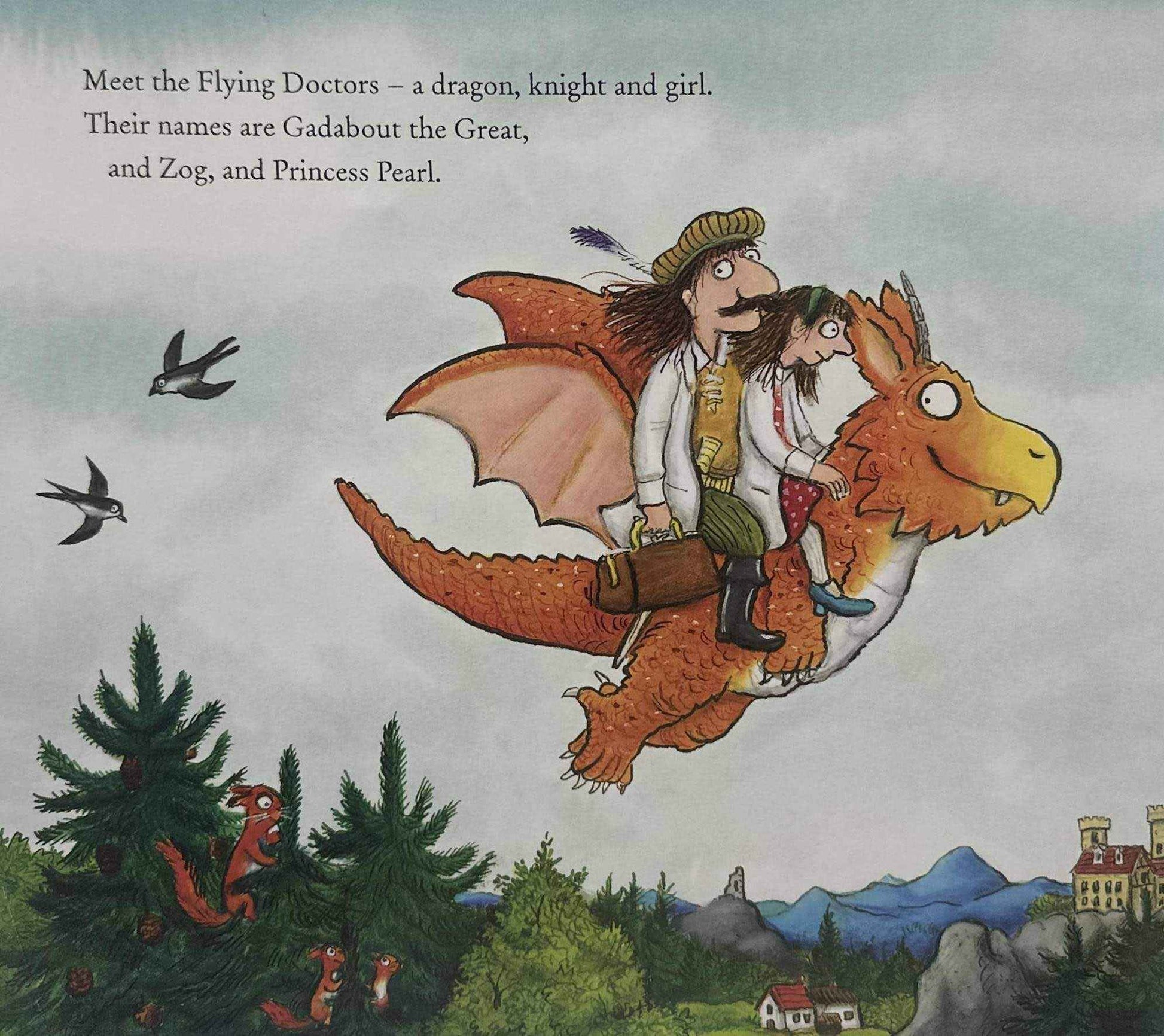 Zog and the Flying Doctors (Paperback)