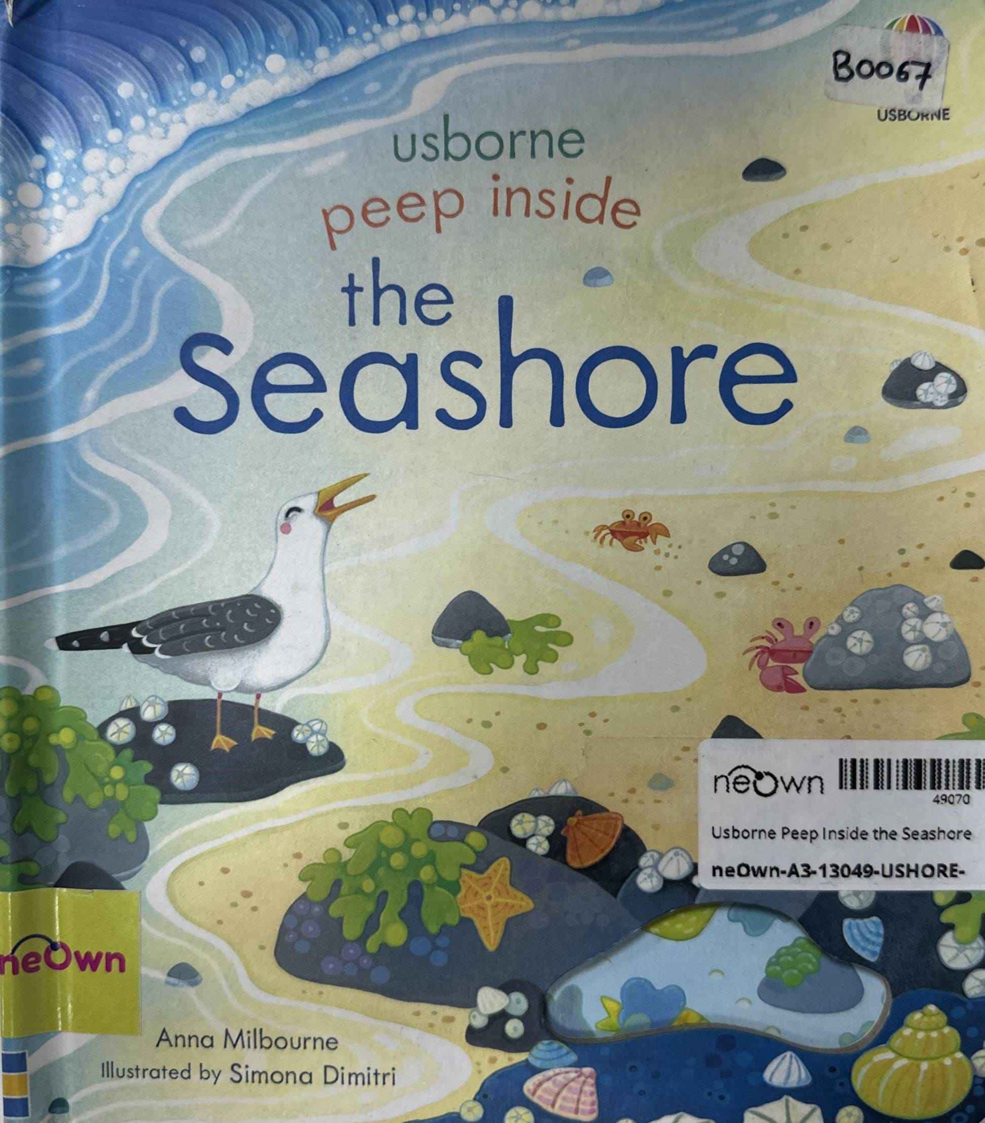 Usborne Peep Inside the Seashore