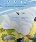Usborne Peep Inside the Seashore