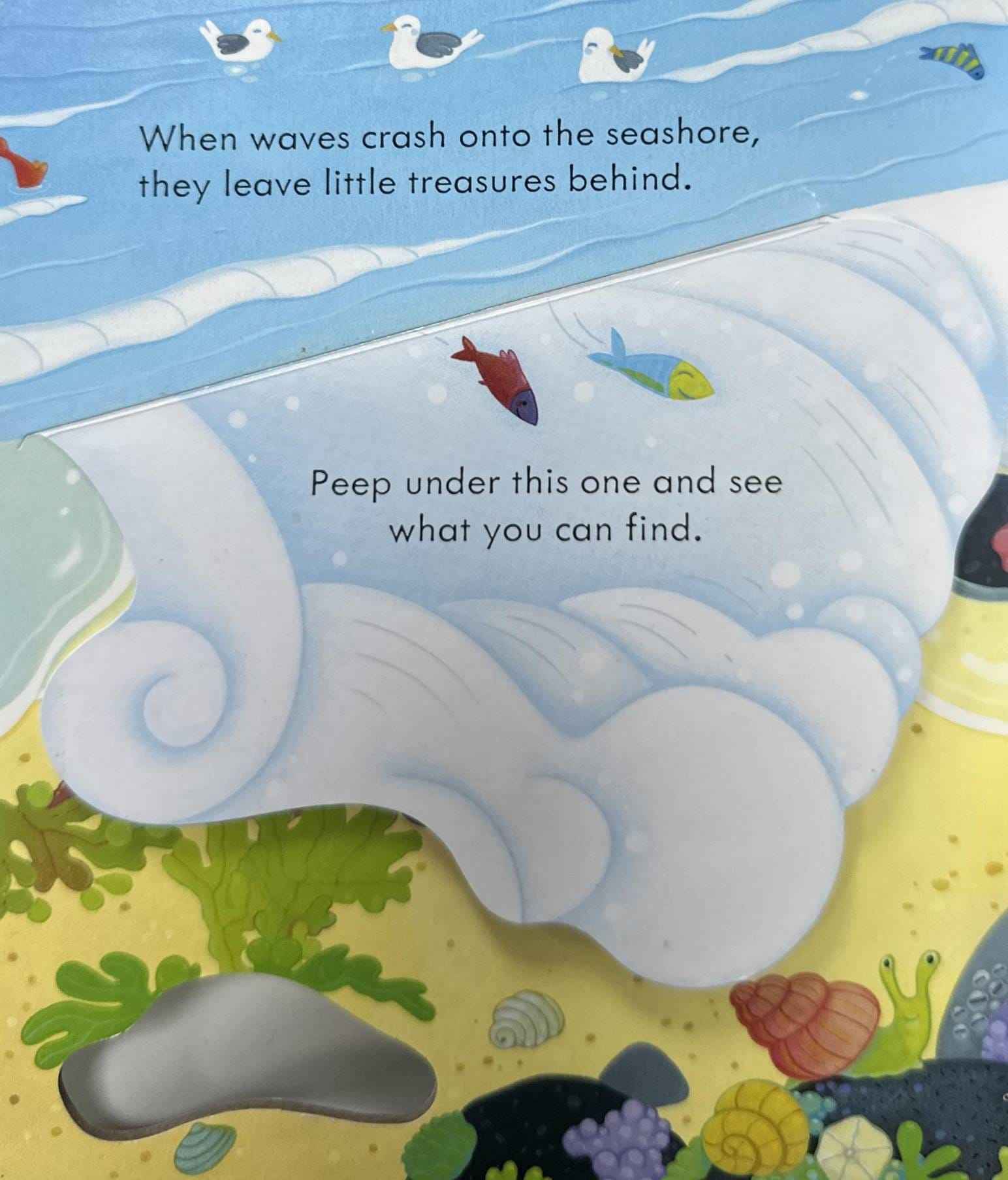 Usborne Peep Inside the Seashore