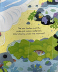 Usborne Peep Inside the Seashore