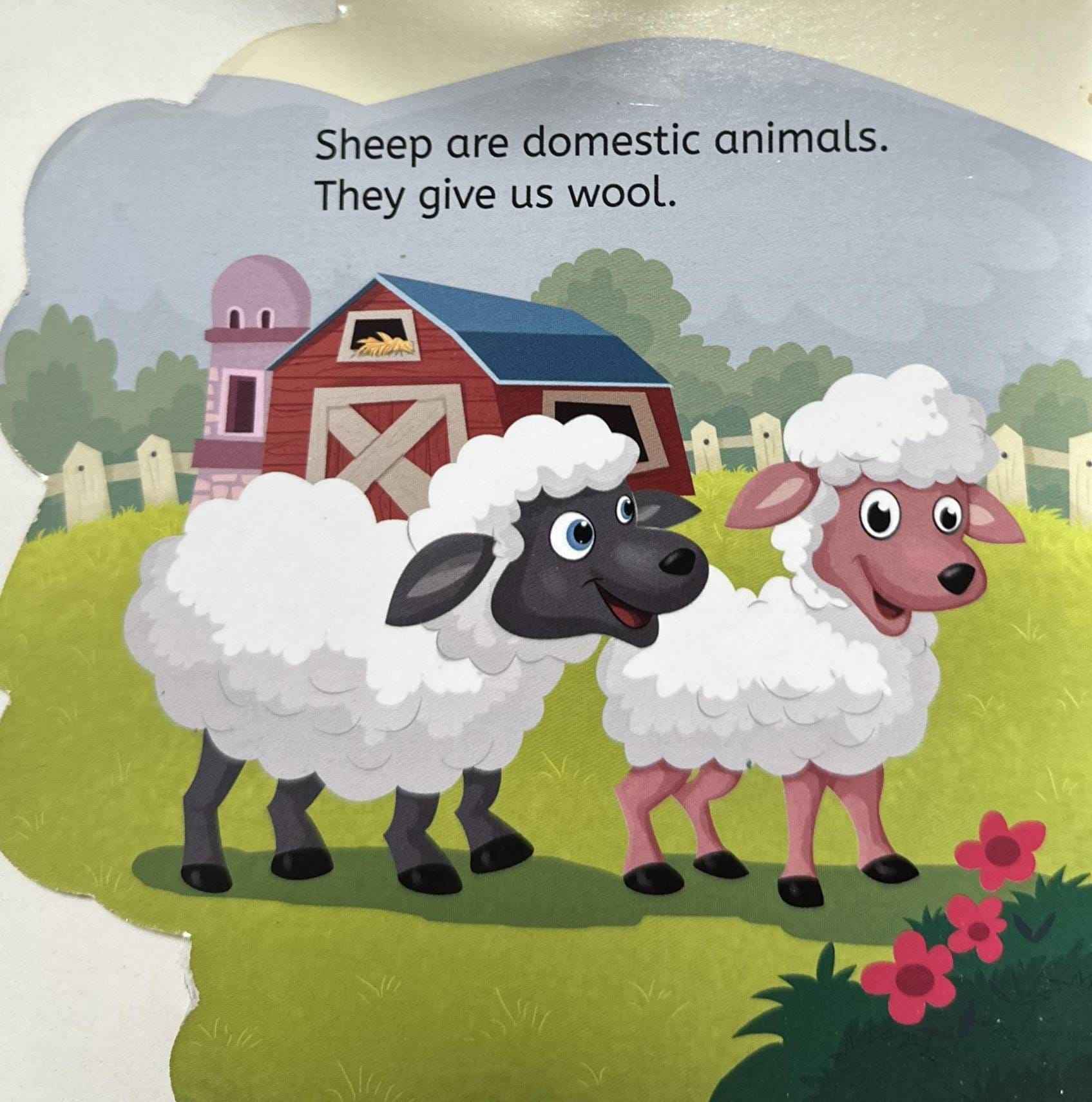 My First Shaped Board Book: My First Shaped Board Book Sheep