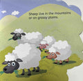 My First Shaped Board Book: My First Shaped Board Book Sheep