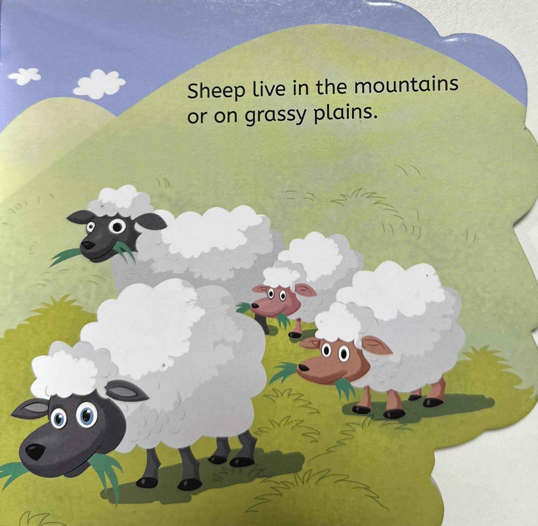 My First Shaped Board Book: My First Shaped Board Book Sheep