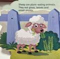 My First Shaped Board Book: My First Shaped Board Book Sheep