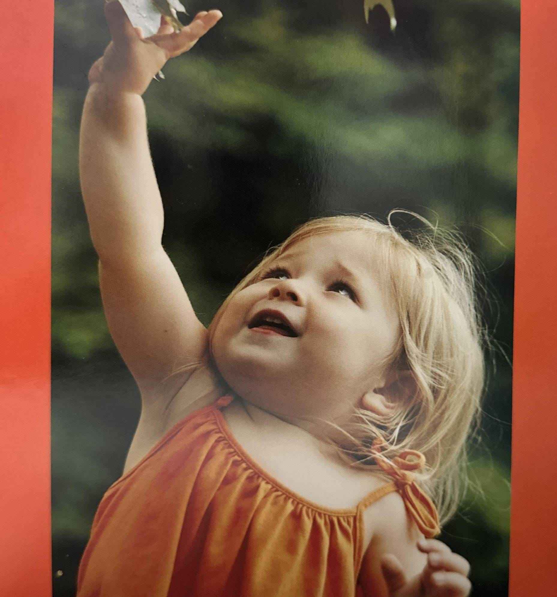 Hands Can (Board Book)