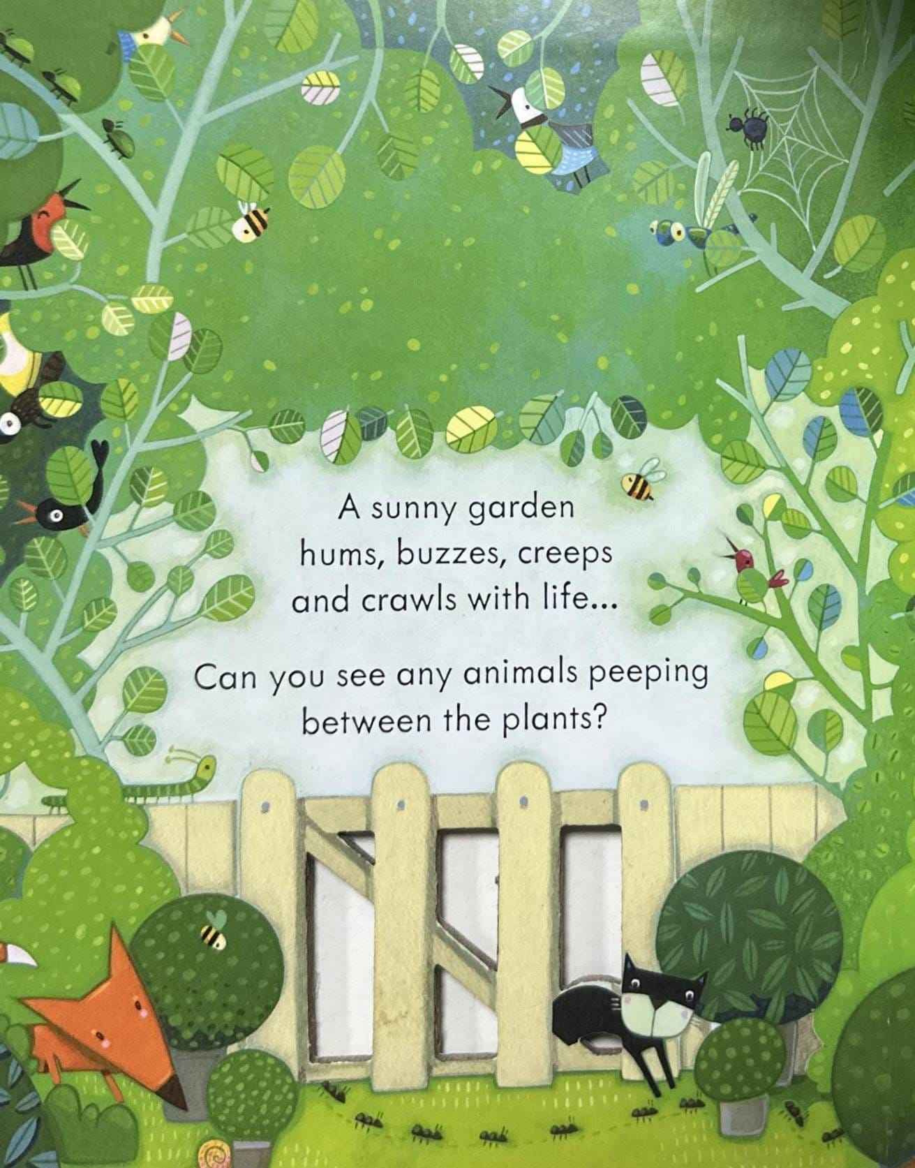 Usborne Peep Inside the Garden
