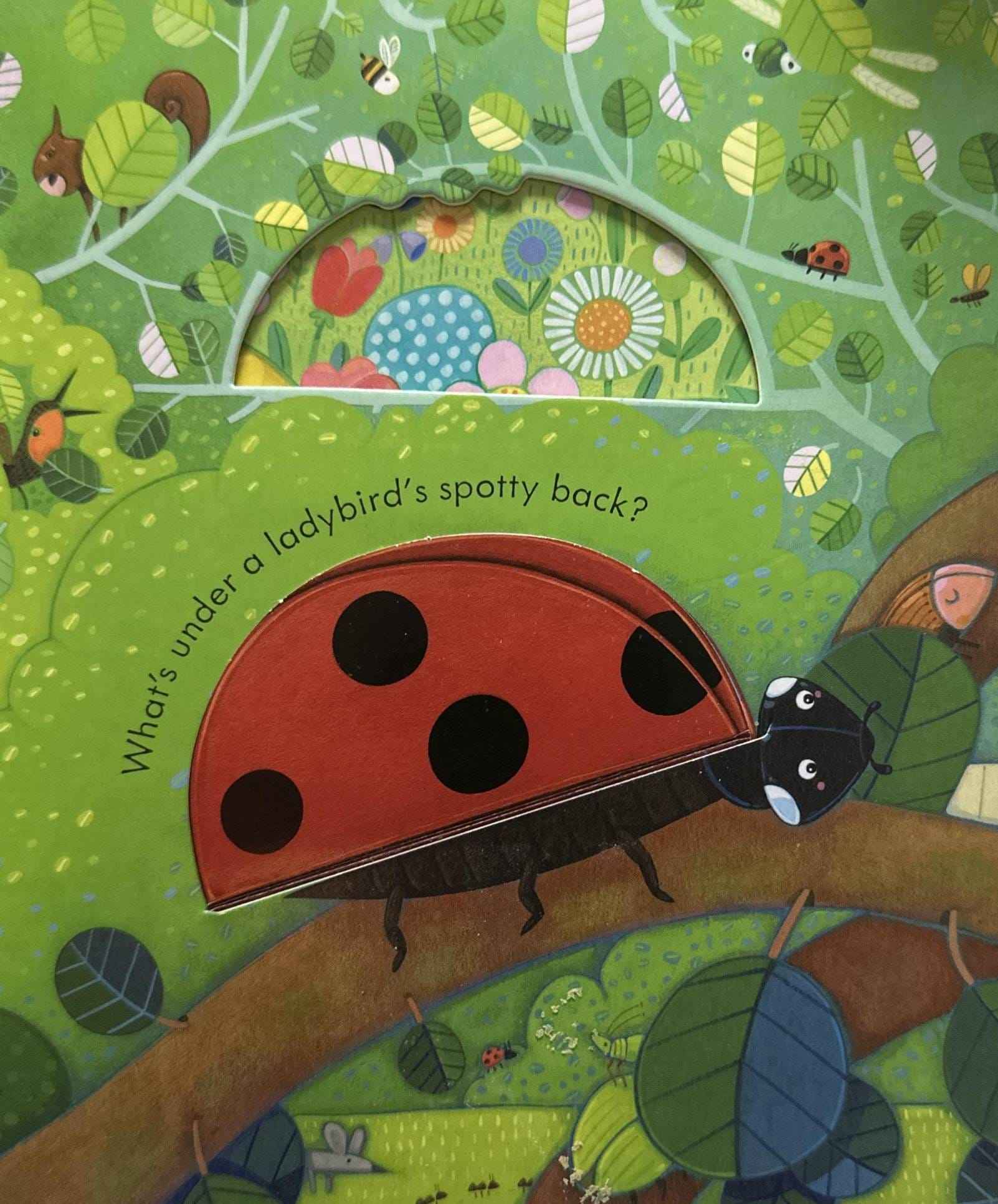 Usborne Peep Inside the Garden