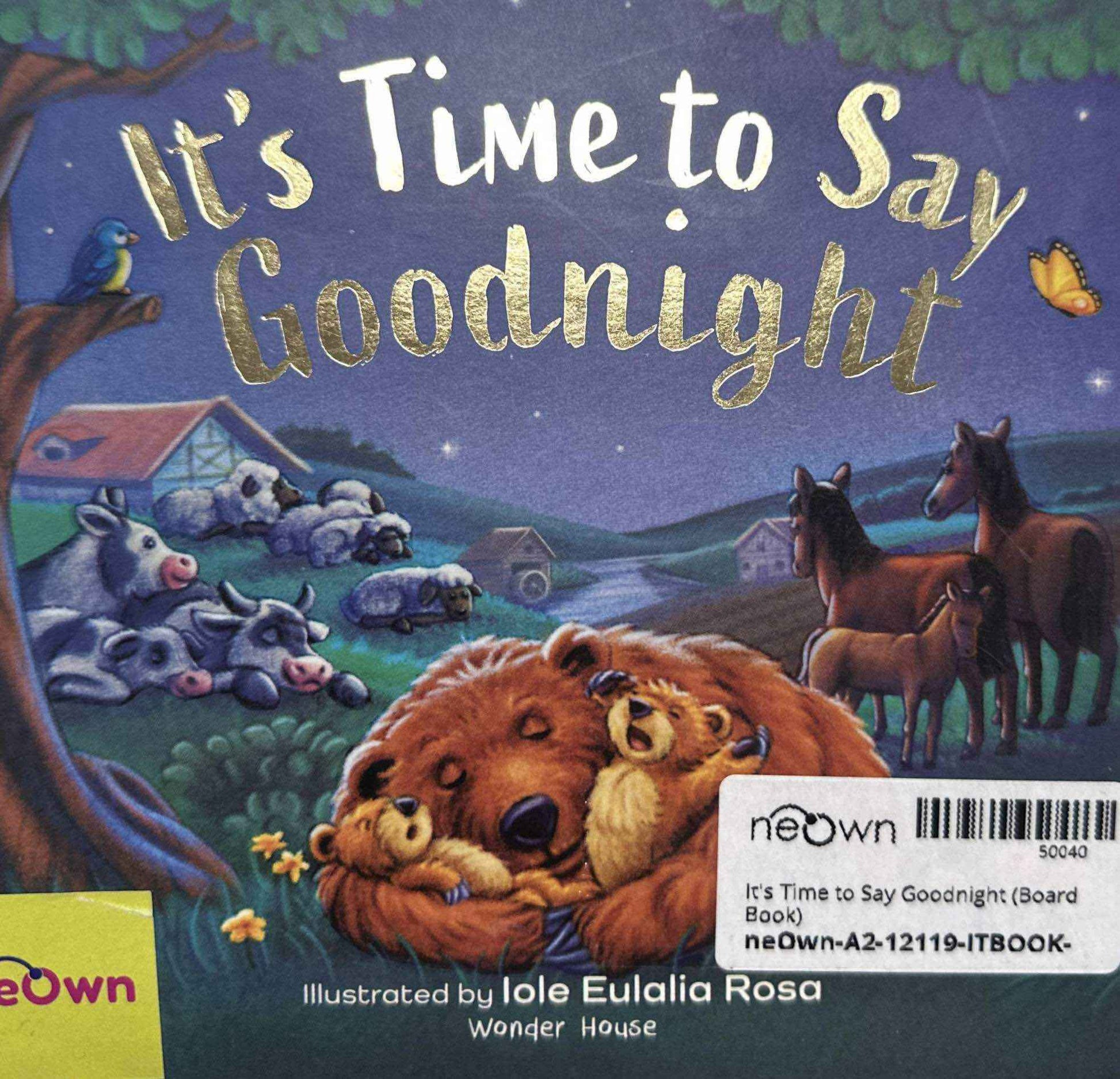 It's Time to Say Goodnight (Board Book)