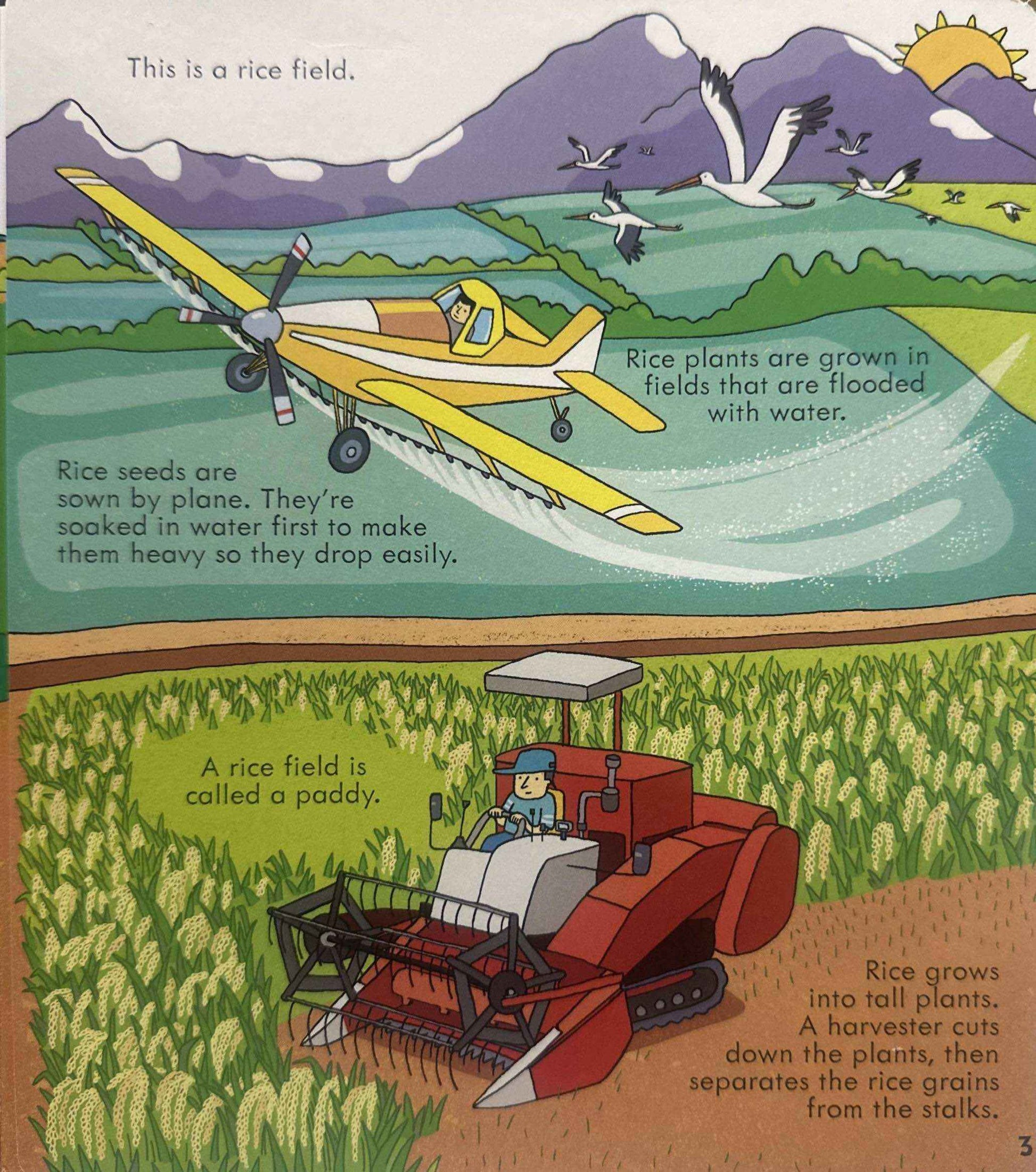 Usborne Lift the Flap Look Inside: Look Inside Food (Board Book)