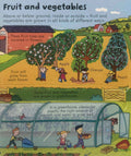 Usborne Lift the Flap Look Inside: Look Inside Food (Board Book)