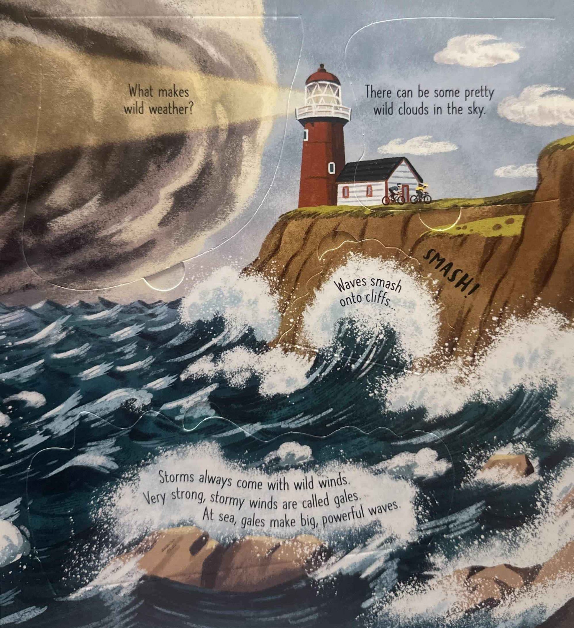 Usborne Lift the Flap Look Inside: Wild Weather (Board Book)