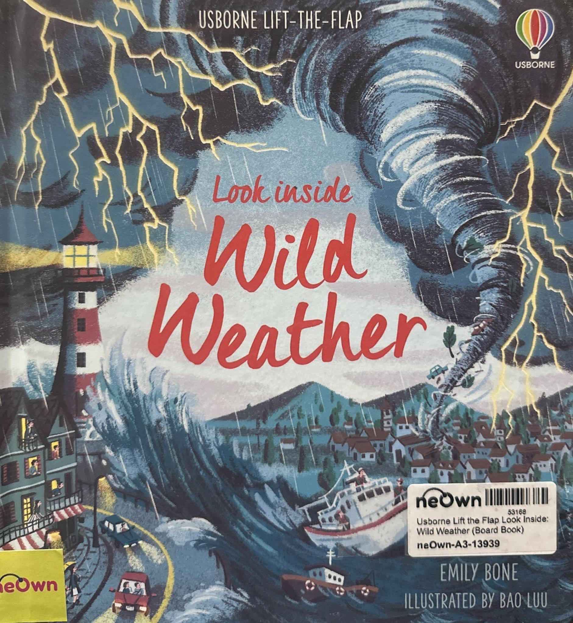 Usborne Lift the Flap Look Inside: Wild Weather (Board Book)