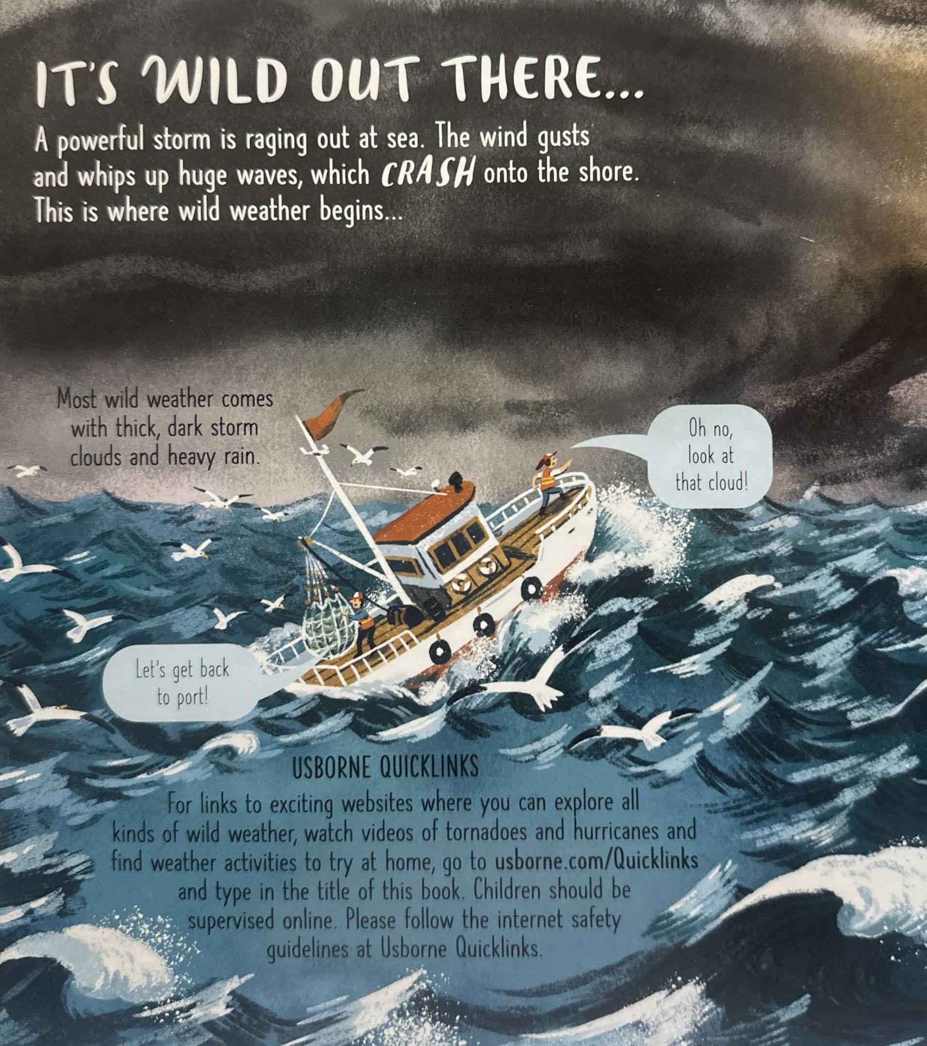 Usborne Lift the Flap Look Inside: Wild Weather (Board Book)