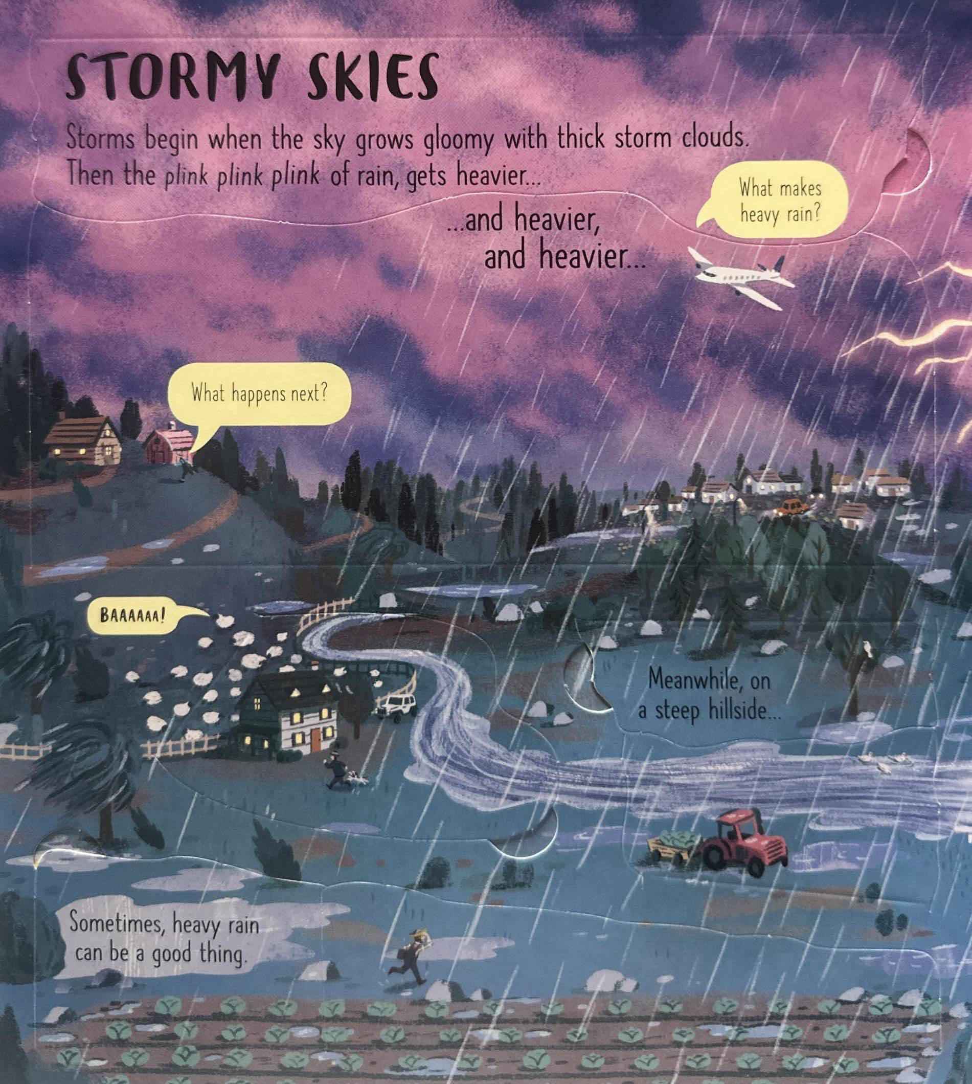 Usborne Lift the Flap Look Inside: Wild Weather (Board Book)