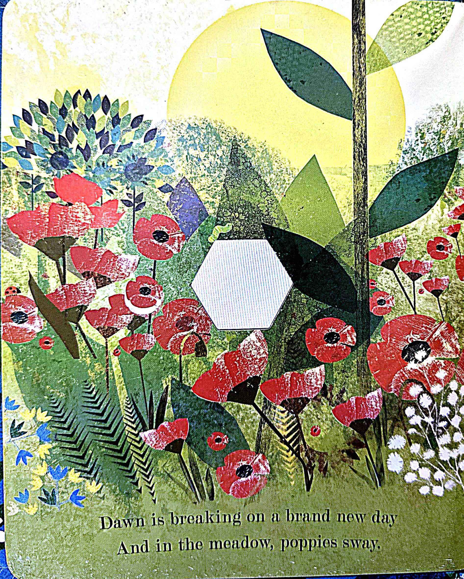 Peek-Through Nature: Bee (Nature's Tiny Miracle) (Board Book)