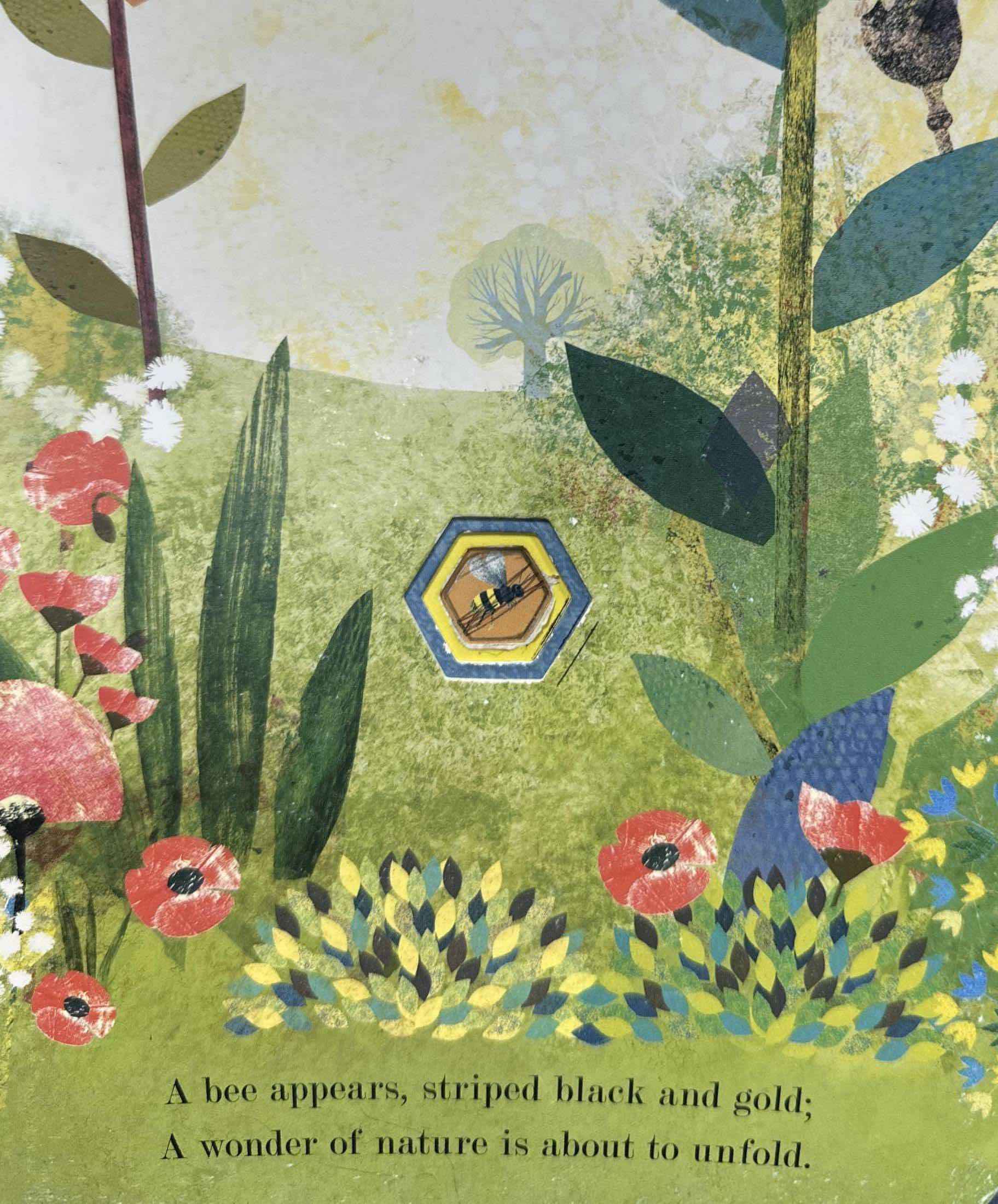 Peek-Through Nature: Bee (Nature's Tiny Miracle) (Board Book)