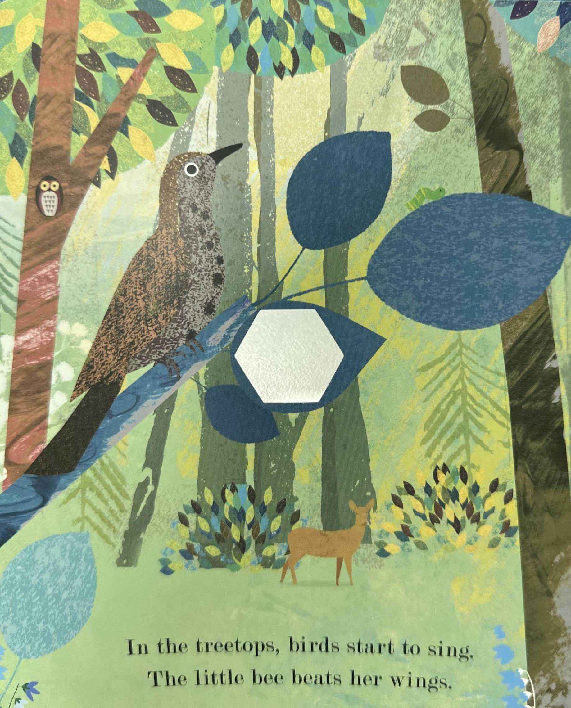 Peek-Through Nature: Bee (Nature's Tiny Miracle) (Board Book)