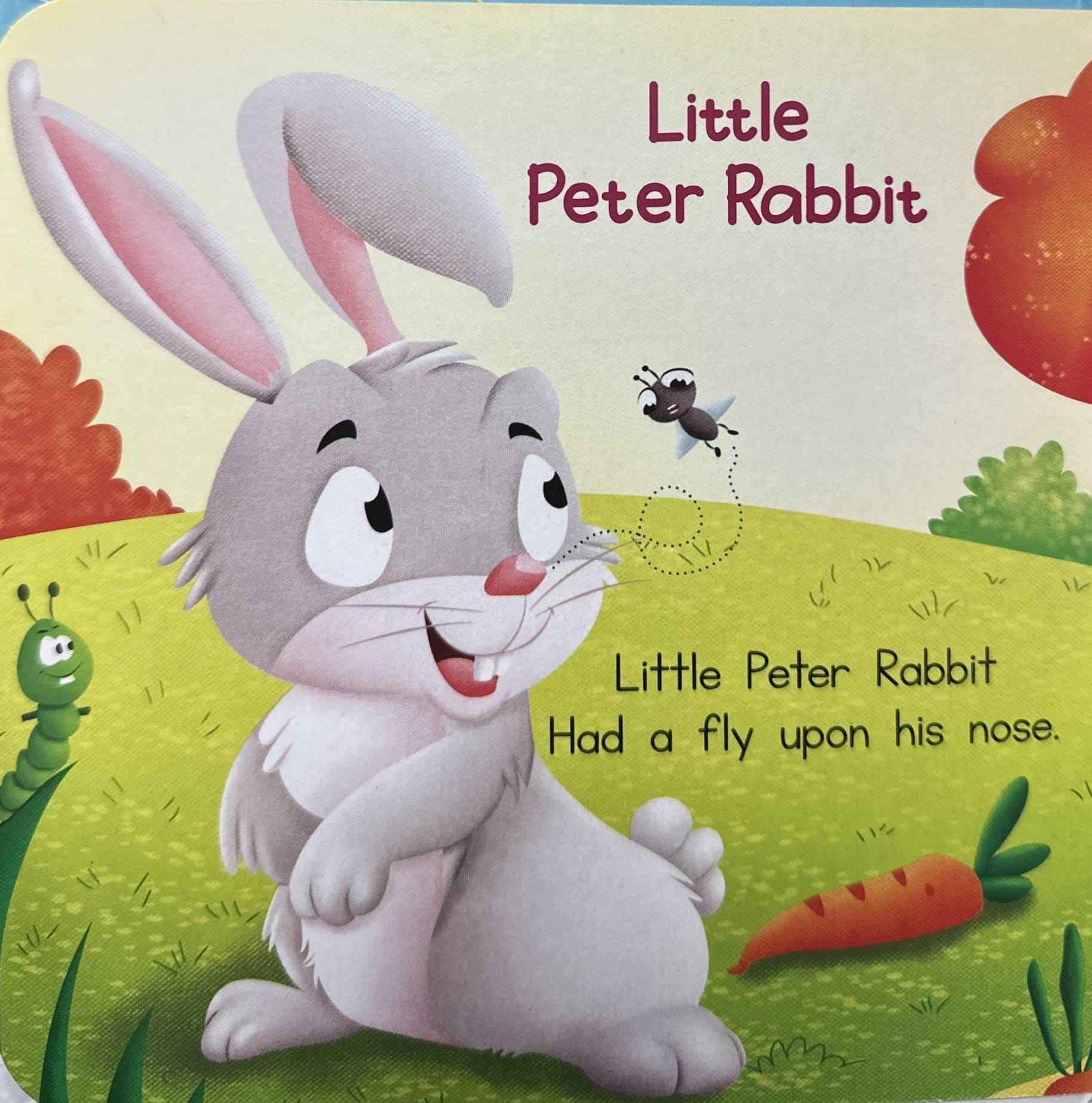 My Animal Rhymes
