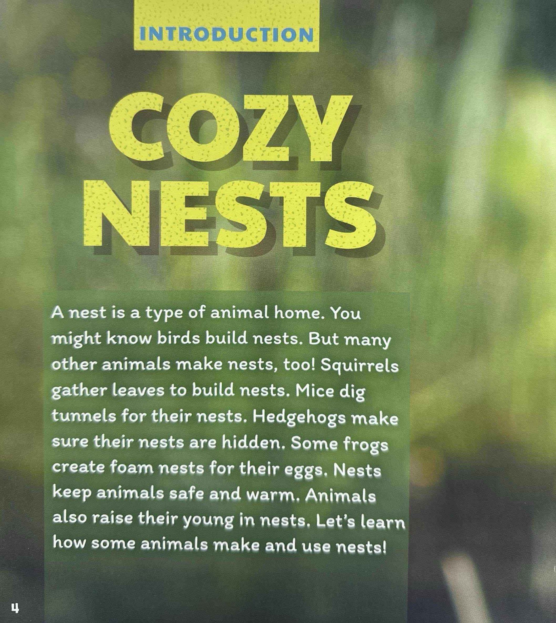 Learn About Animal Homes: Nests