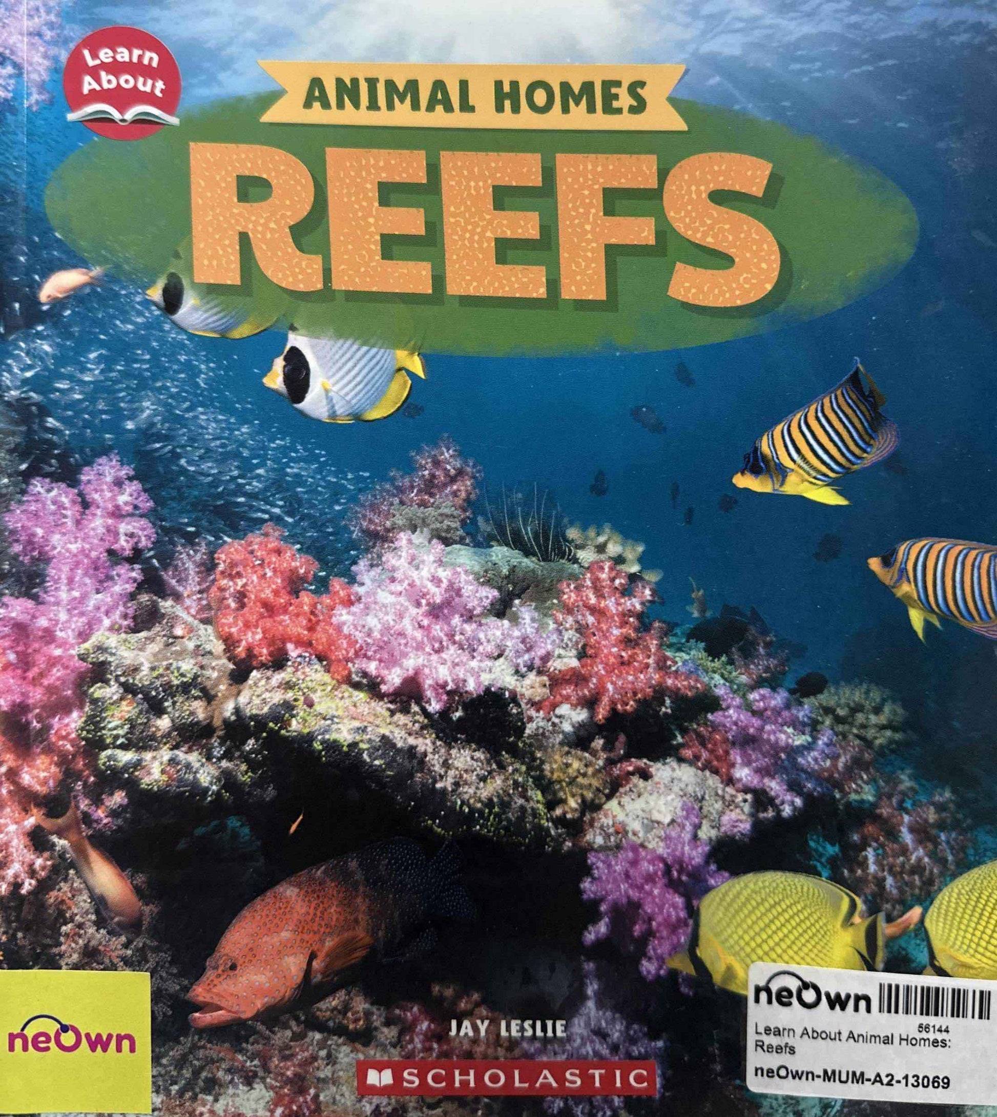 Learn About Animal Homes: Reefs