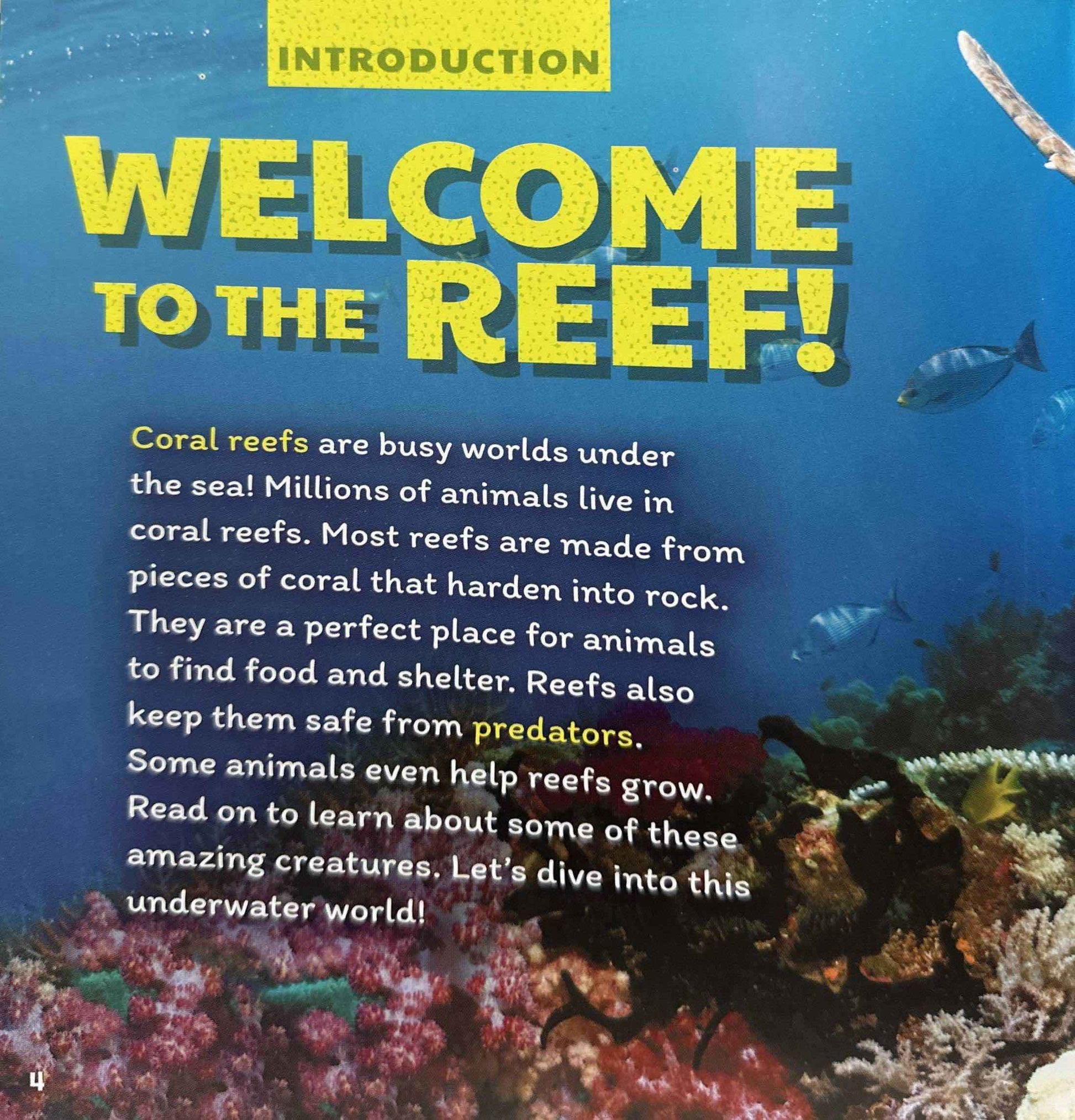 Learn About Animal Homes: Reefs