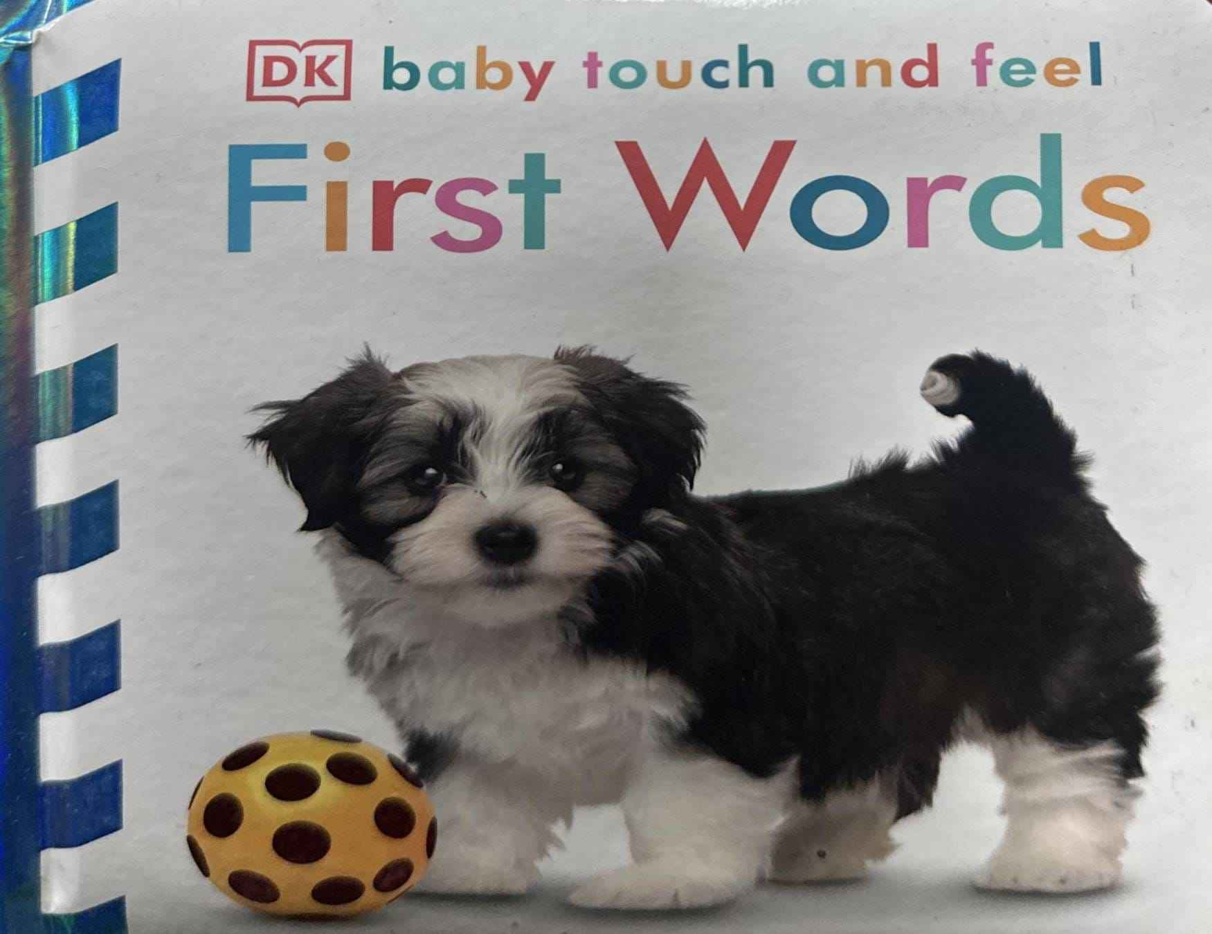 Baby Touch and Feel: First Words (Baby Touch and Feel)