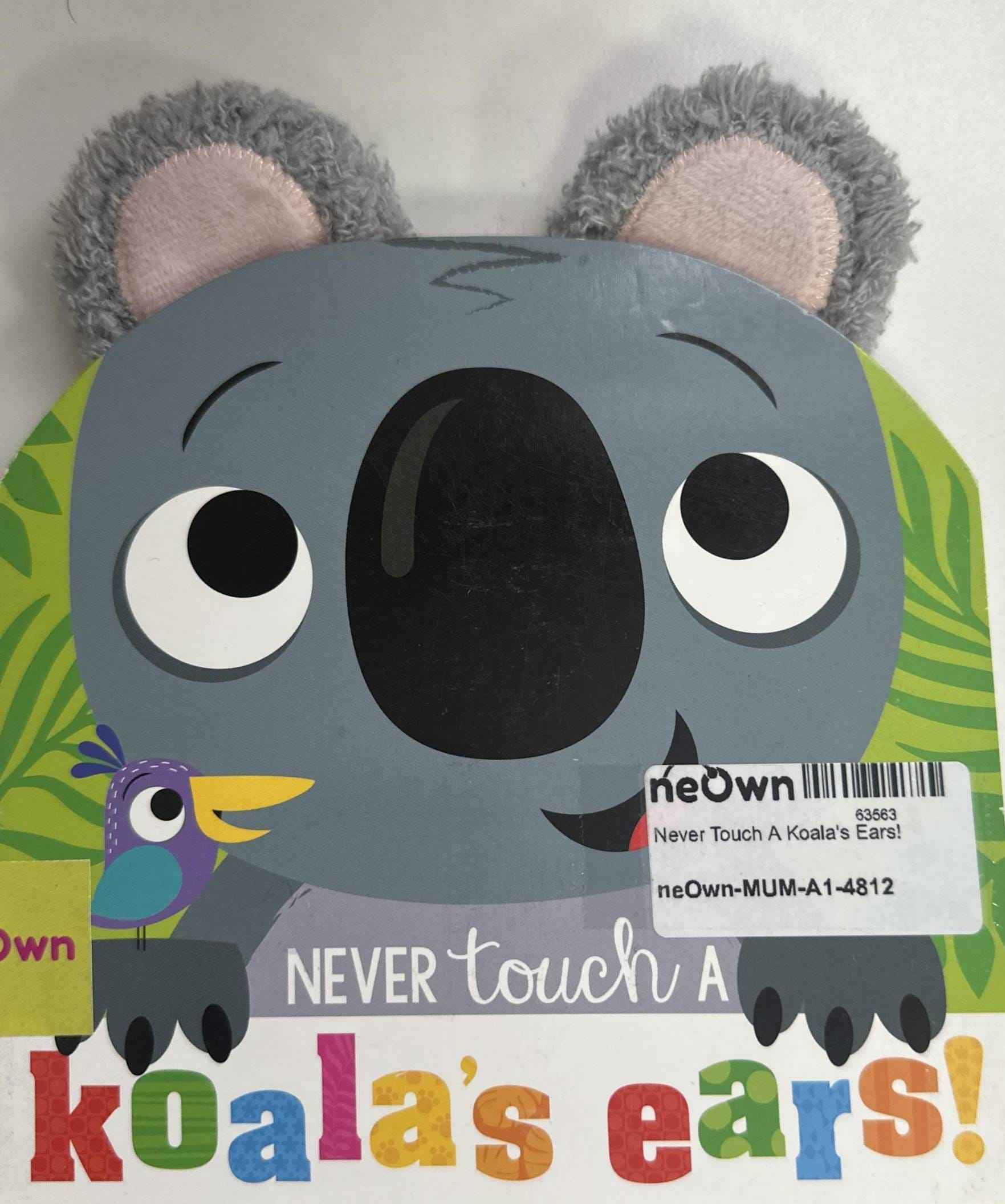 Never Touch A Koala's Ears!