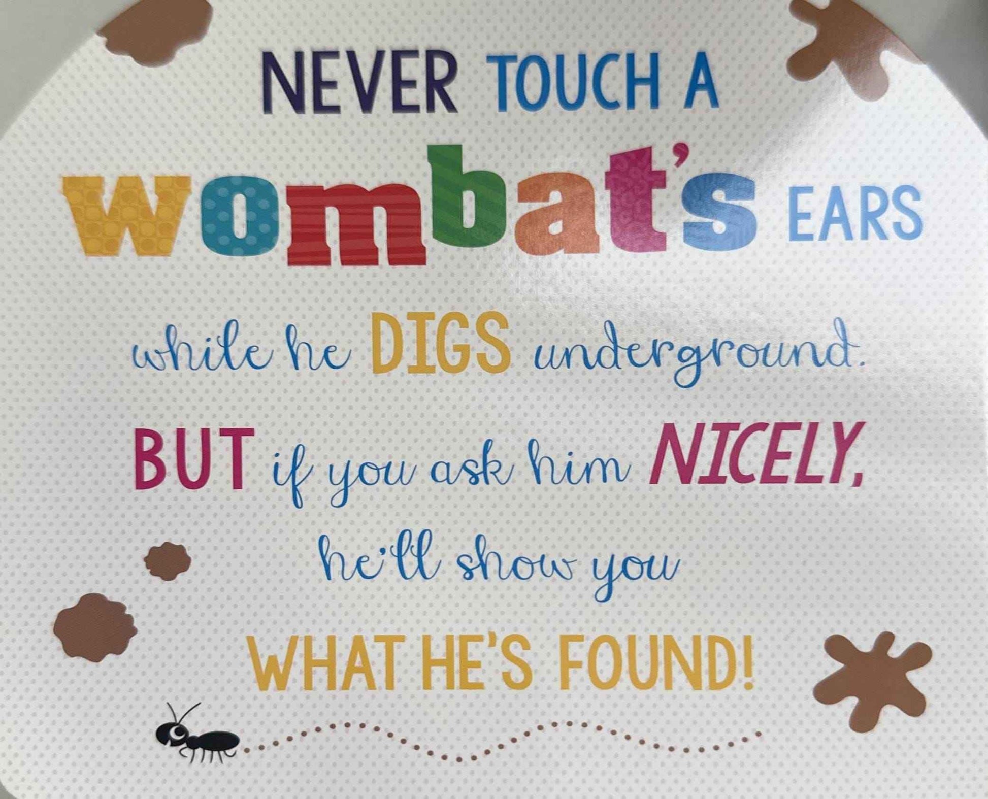 Never Touch A Koala's Ears!