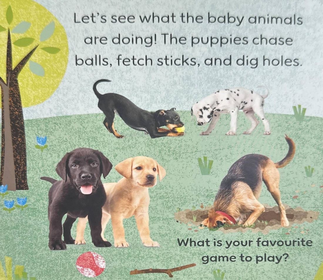 Touch and Feel Baby Animals (With Tactiles for Toddlers to Explore)