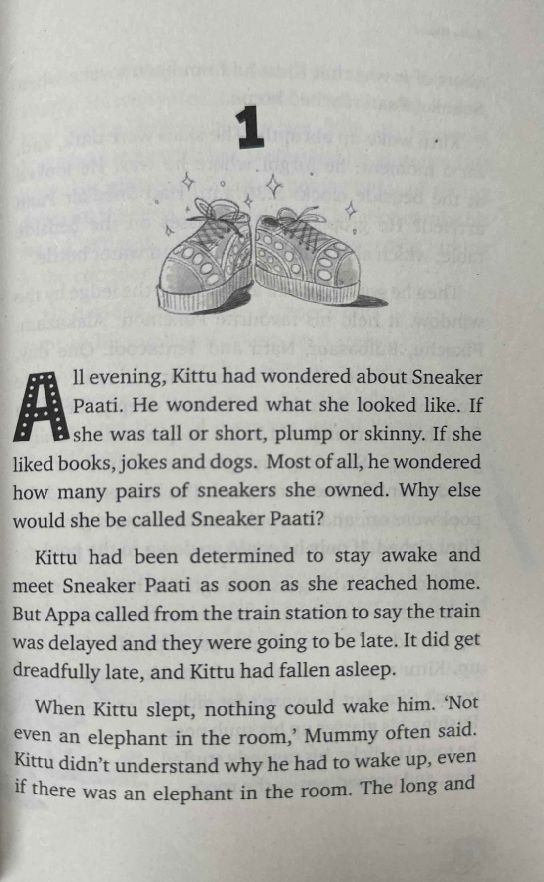 Sneaker Paati