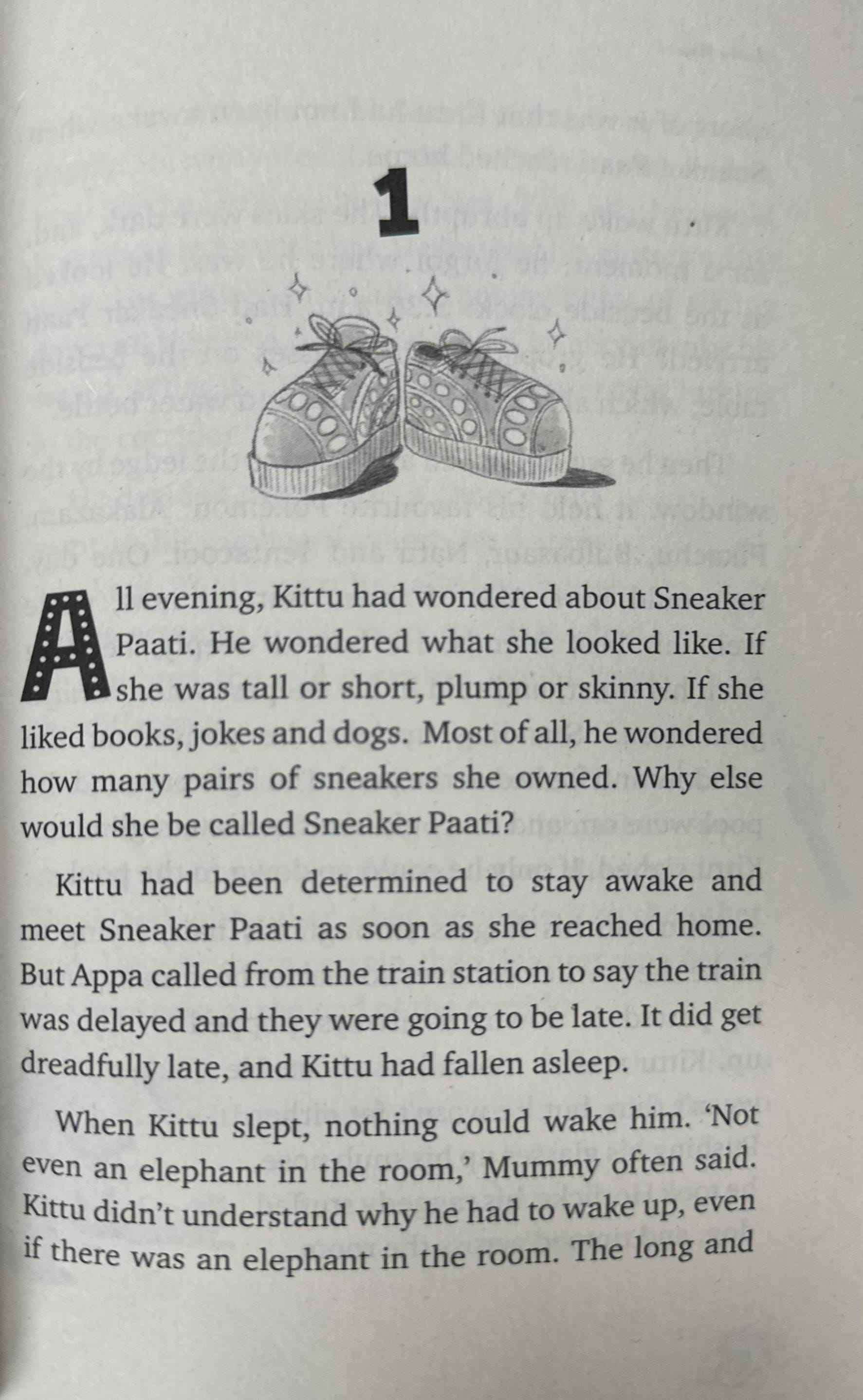 Sneaker Paati