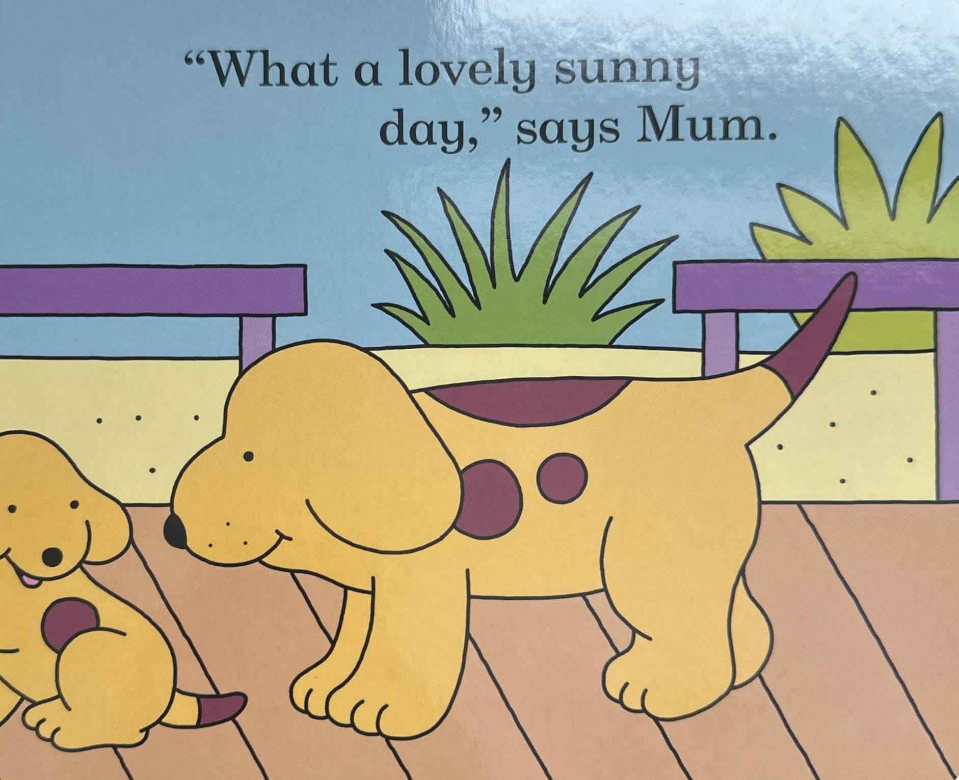 Spot: Spot Goes to the Beach (Board book)