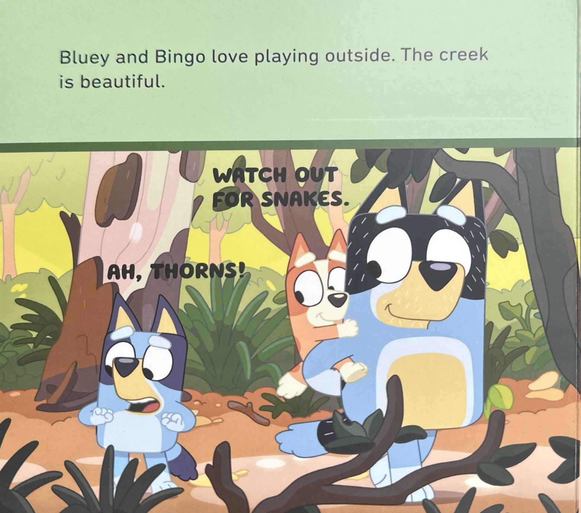 Bluey: Bluey and Bingo's Book of Bugs (A-Push-and-Pull Book)