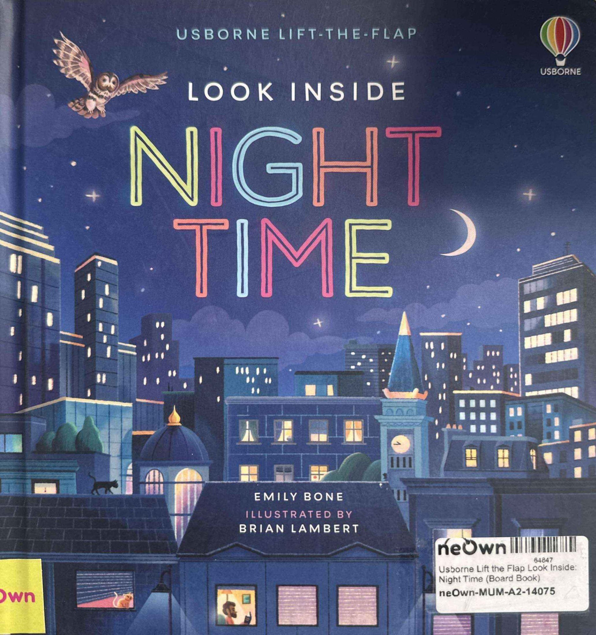 Usborne Lift the Flap Look Inside: Night Time (Board Book)