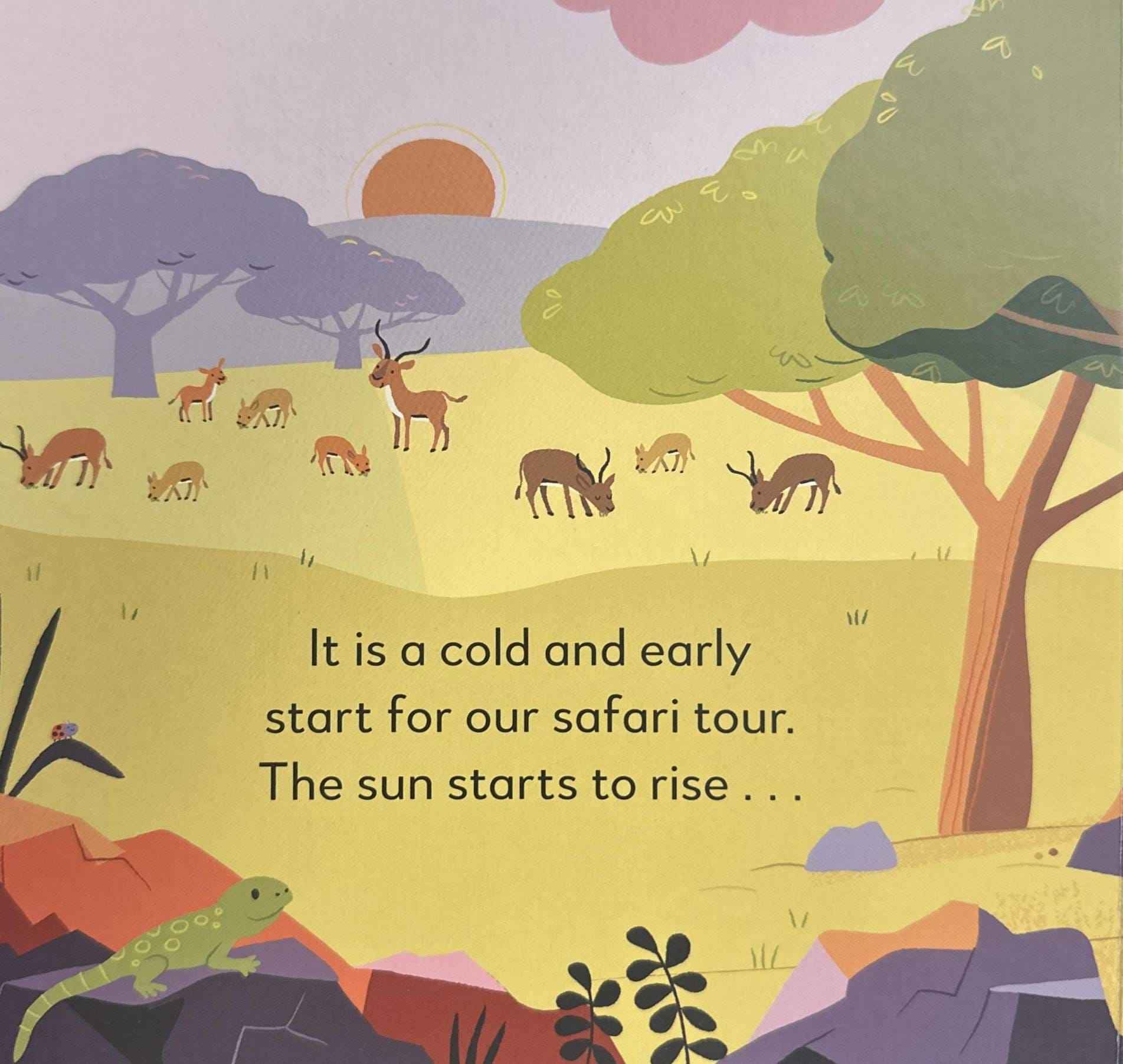 Little World: On Safari (Board Book)