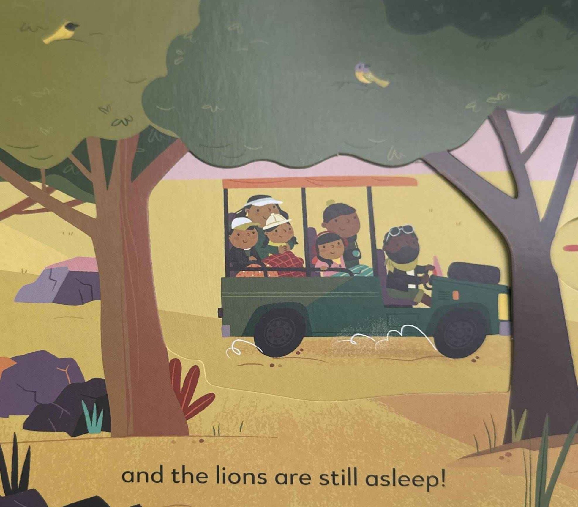 Little World: On Safari (Board Book)