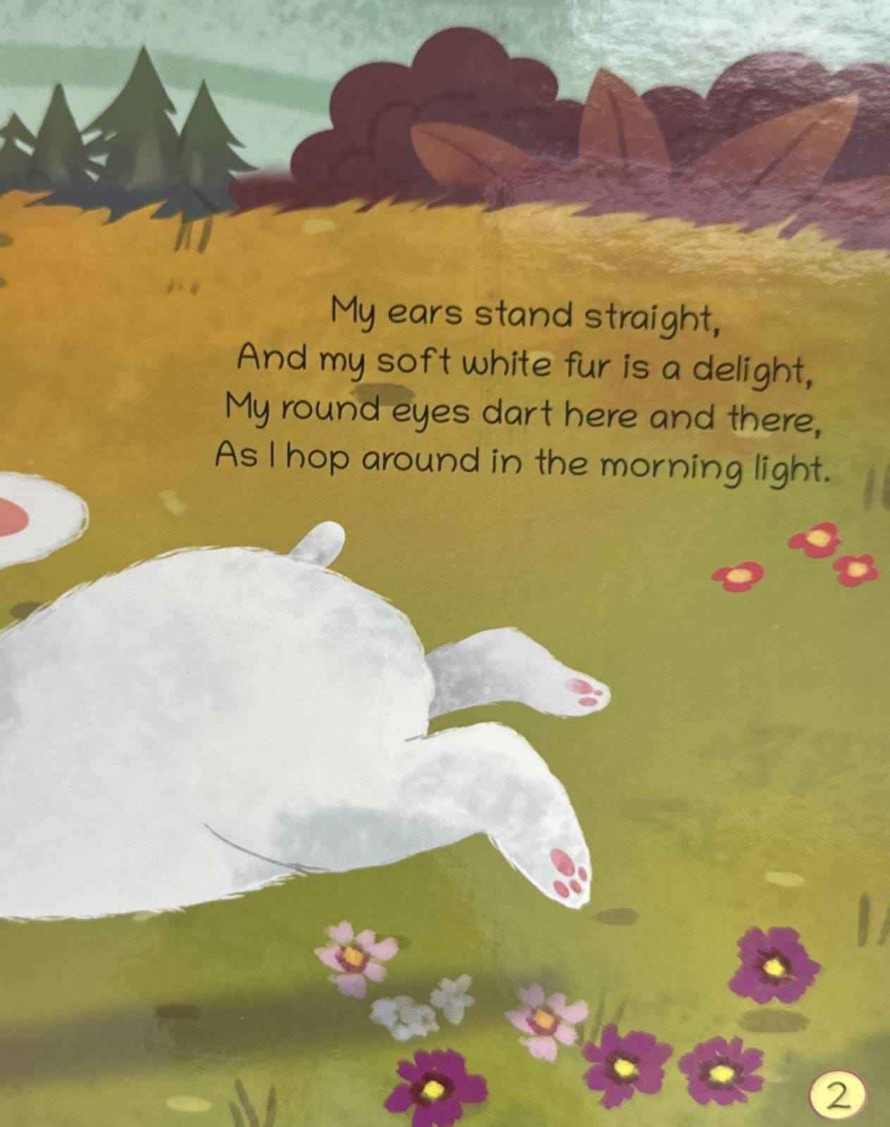 Lil Legends Shaped Board Books: Pet Animals: I Am A Rabbit