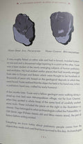 A Children's History of India in 100 Objects