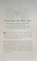 A Children's History of India in 100 Objects