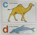 ABC Zoo (A Lift-the-Flap Picture Book)