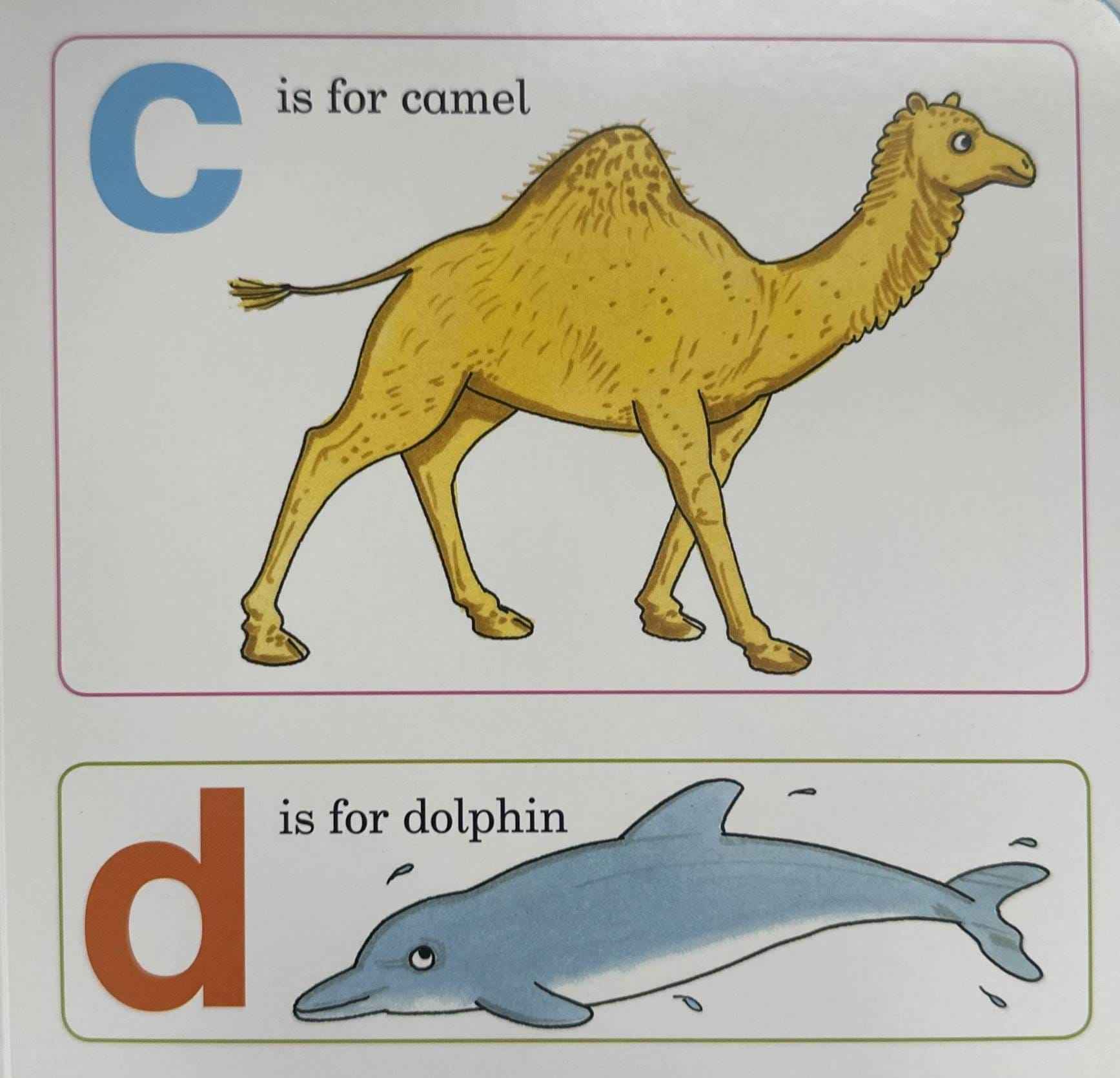 ABC Zoo (A Lift-the-Flap Picture Book)