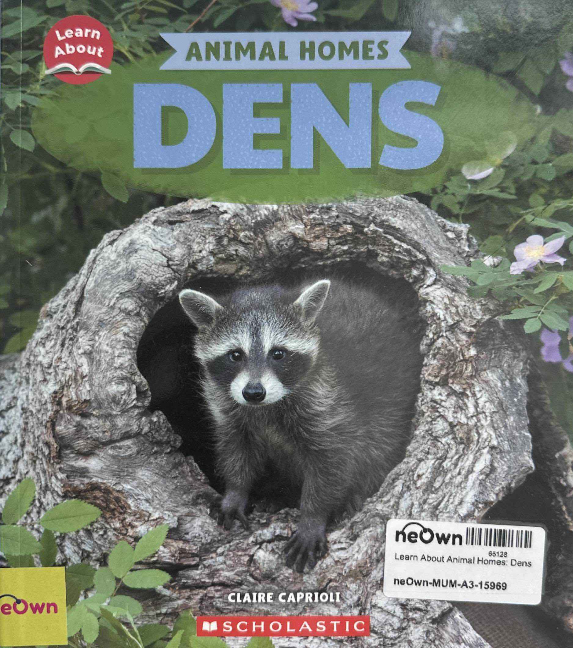 Learn About Animal Homes: Dens
