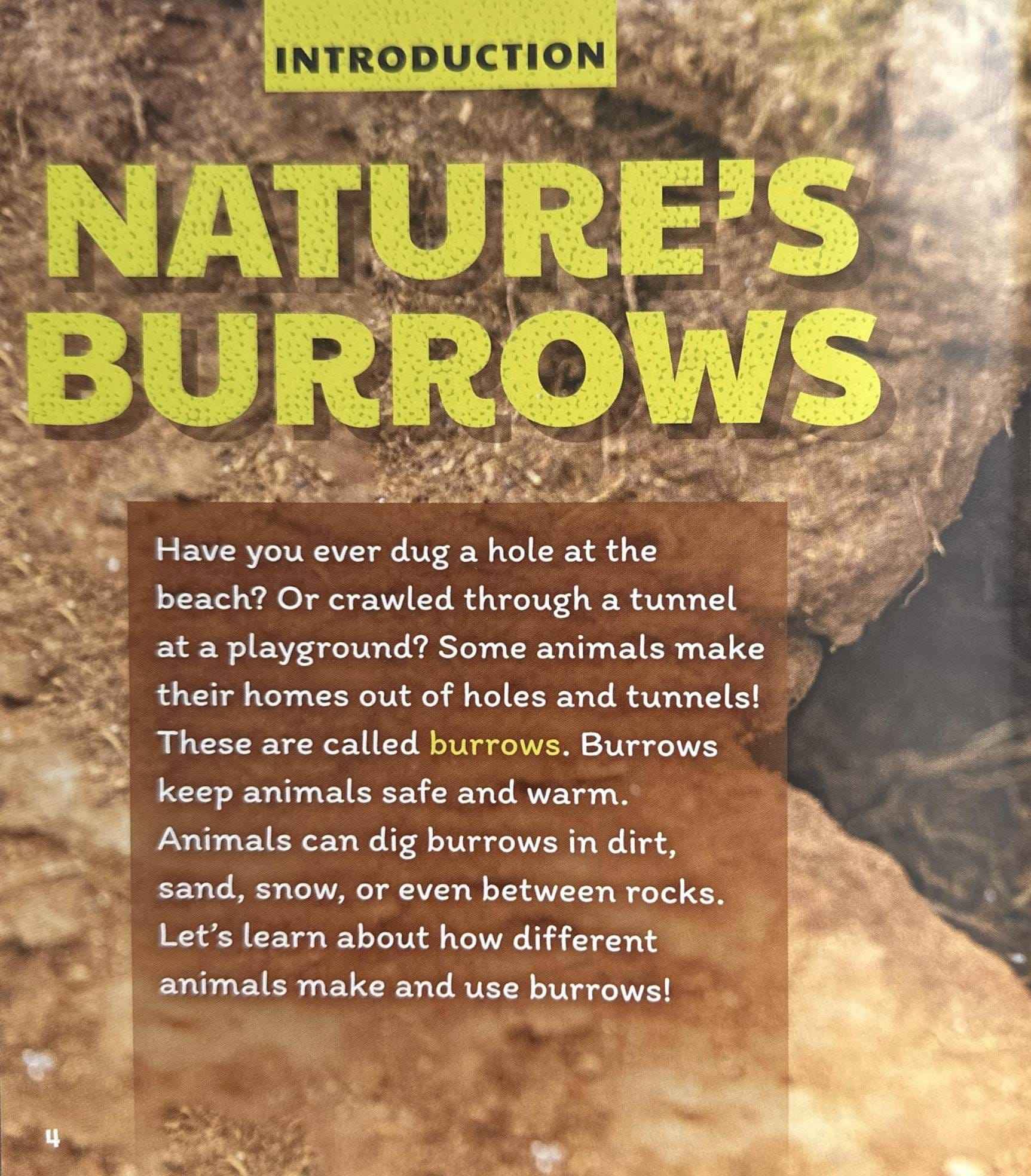 Learn About Animal Homes: Burrows