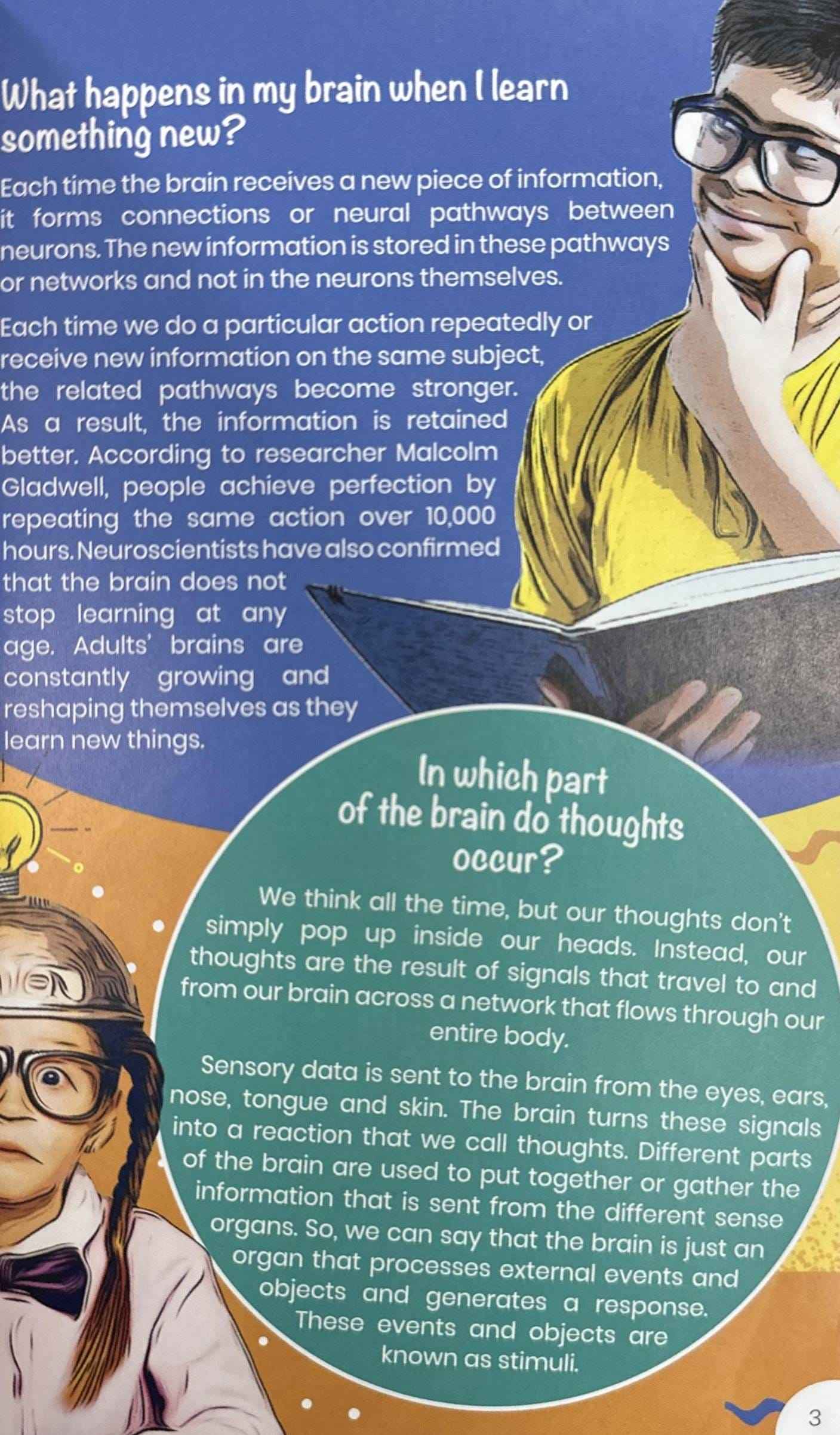 100 Questions: The Human Body