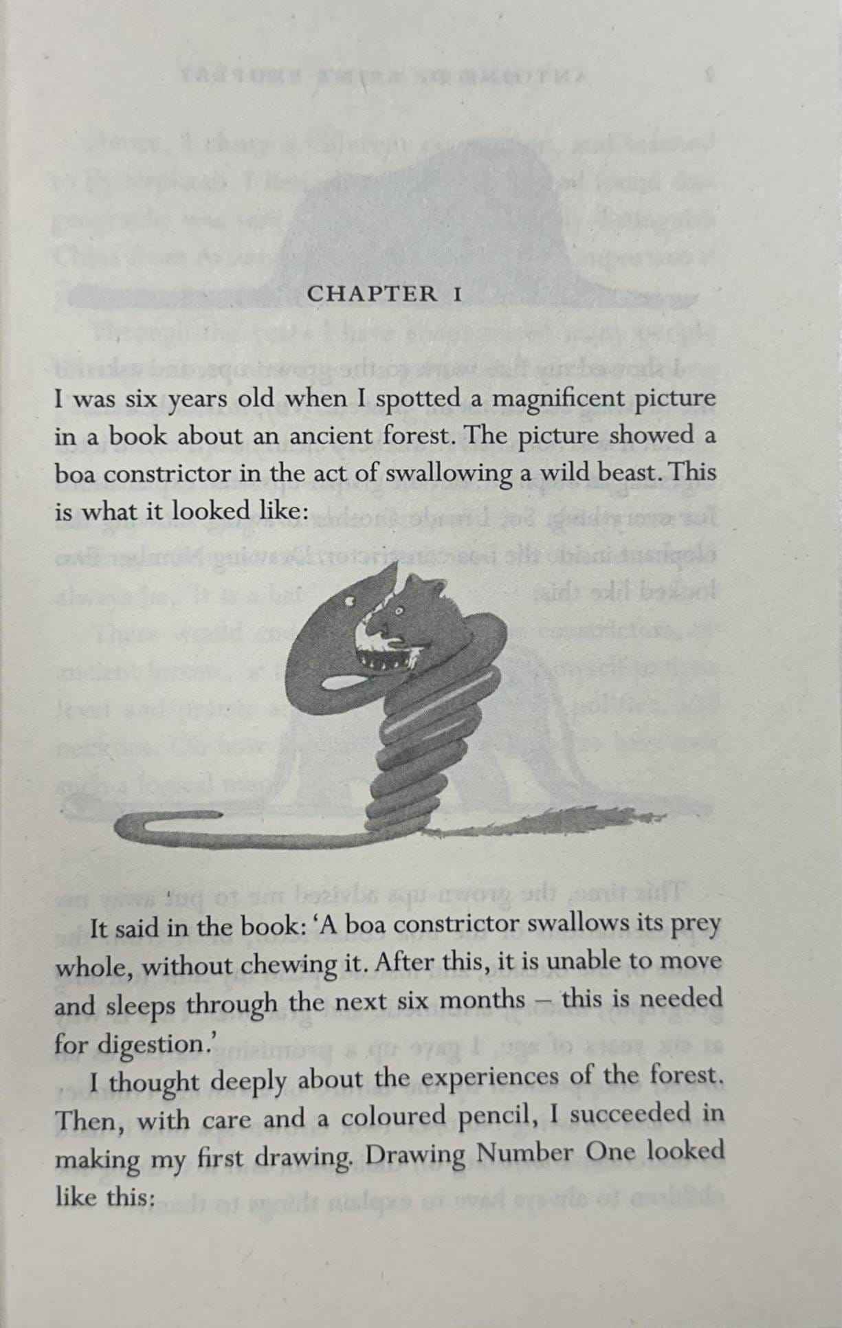 The Little Prince (Pan Macmillan)