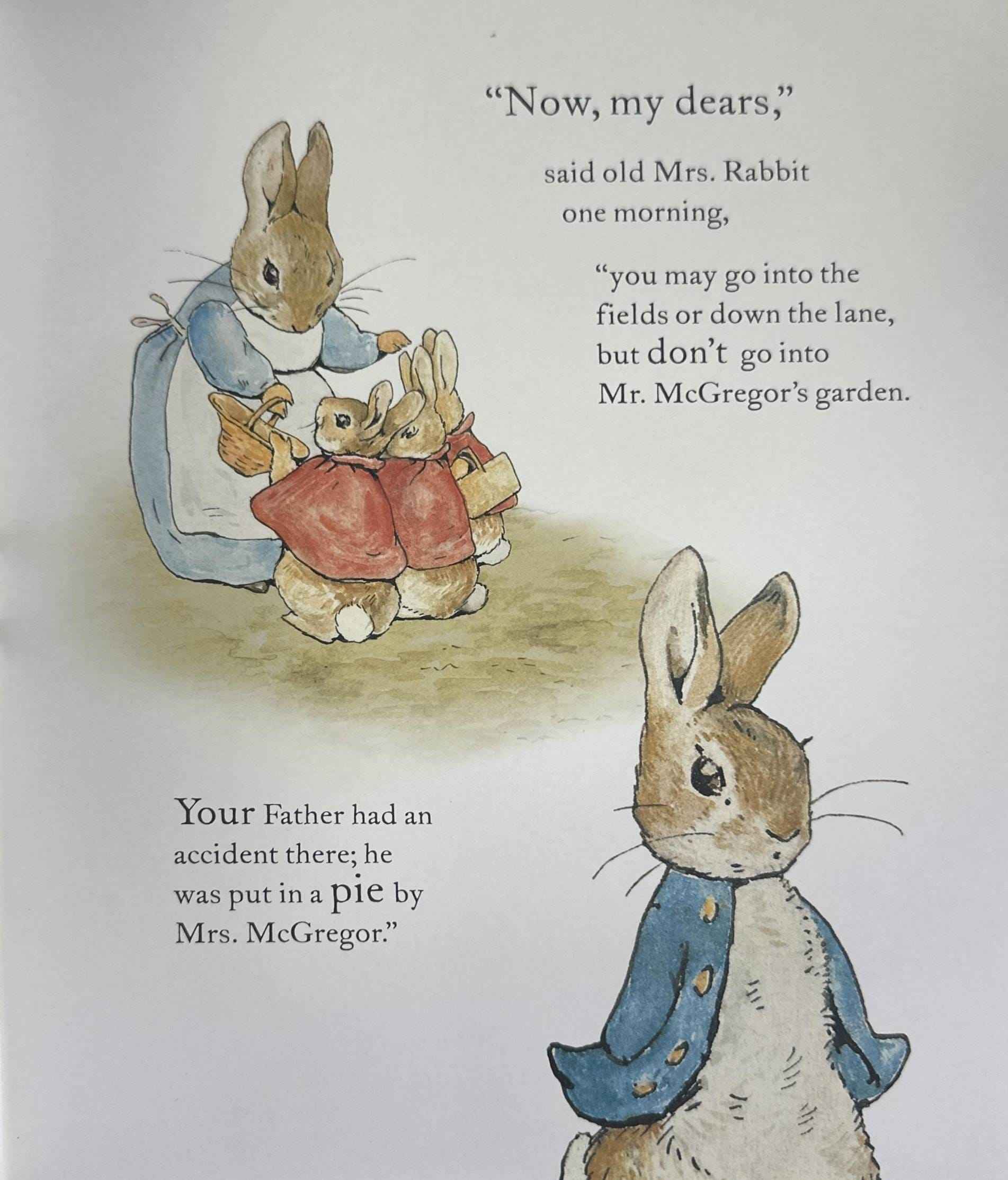 The World of Peter Rabbit: The Tale of Peter Rabbit (Paperback)
