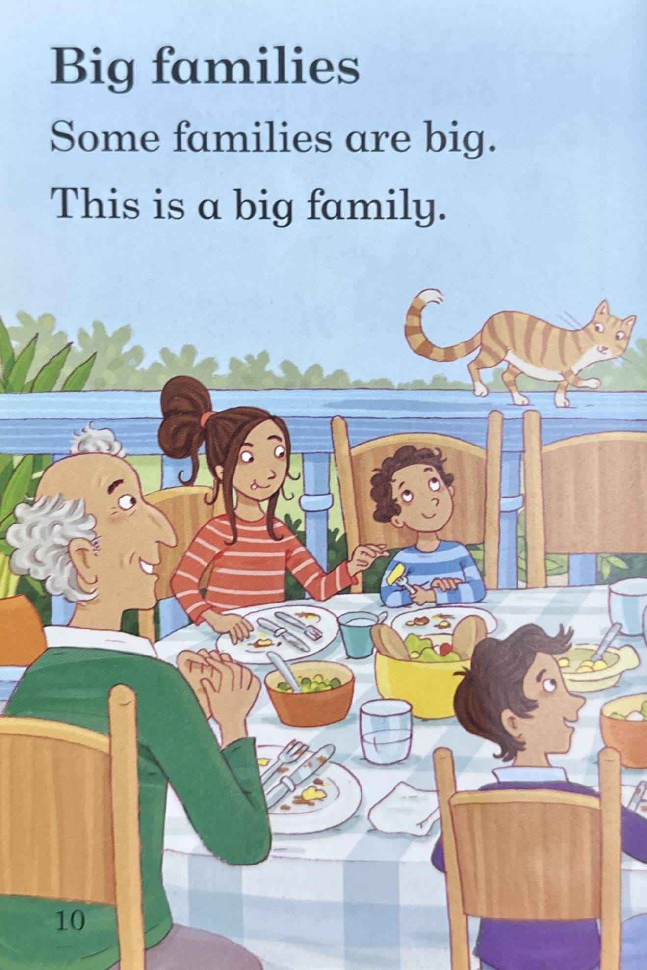 Read it Yourself with Ladybird Level 1: Meet My Family