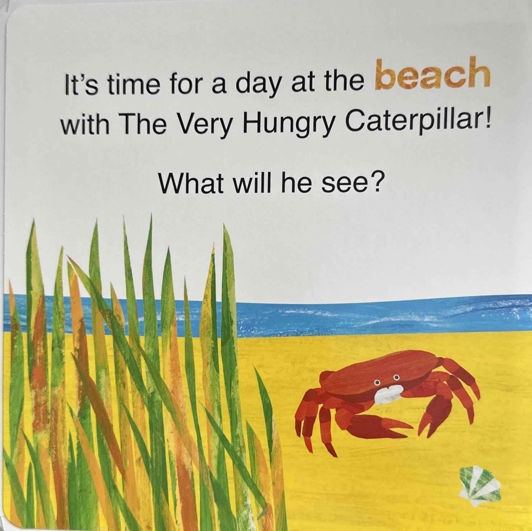 The World of Eric Carle: A Day at the Beach with The Very Hungry Caterpillar (Tabbed Board Book)